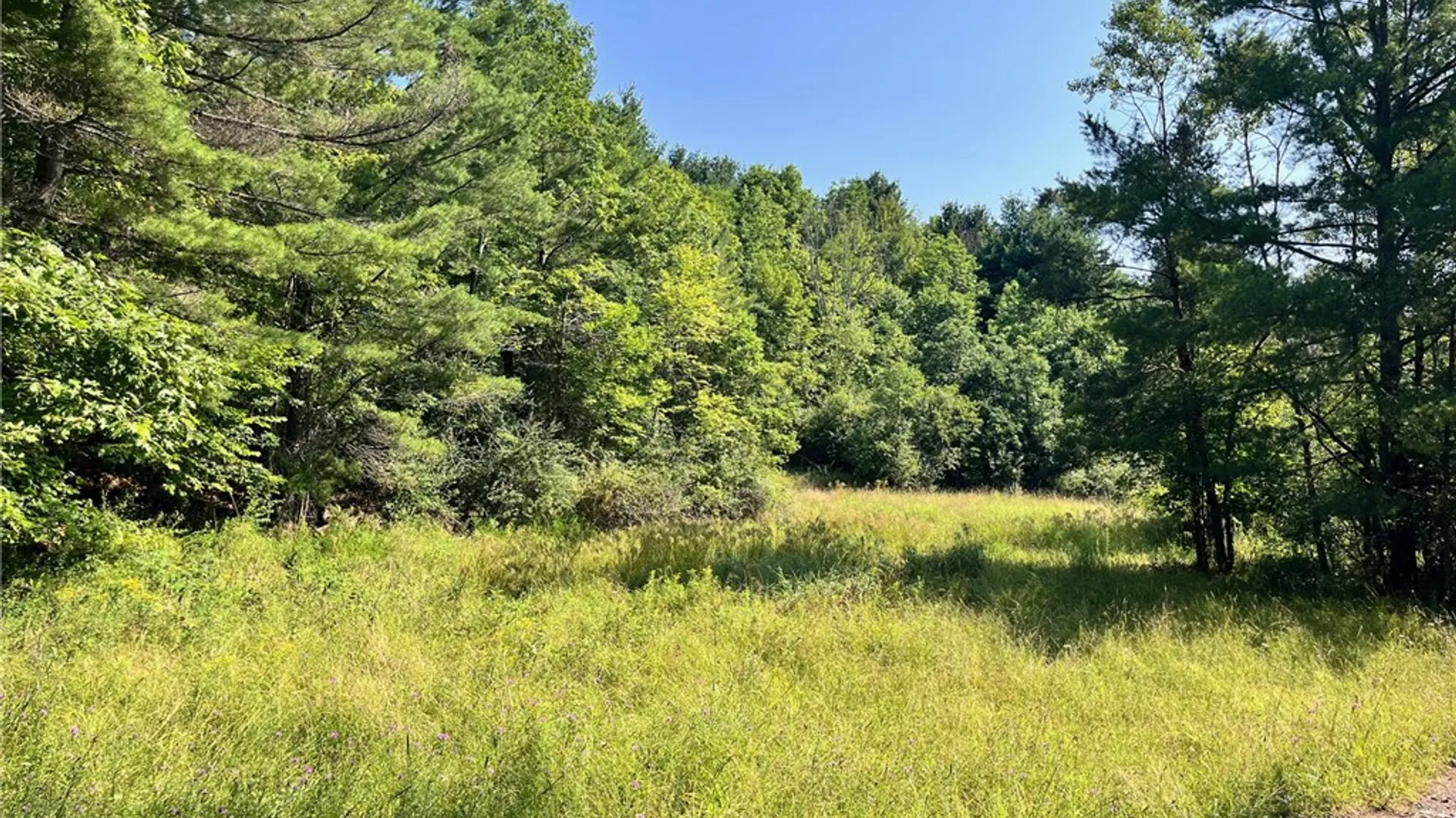 Property at 7130 Rt-417, Bolivar, NY 14715 11
