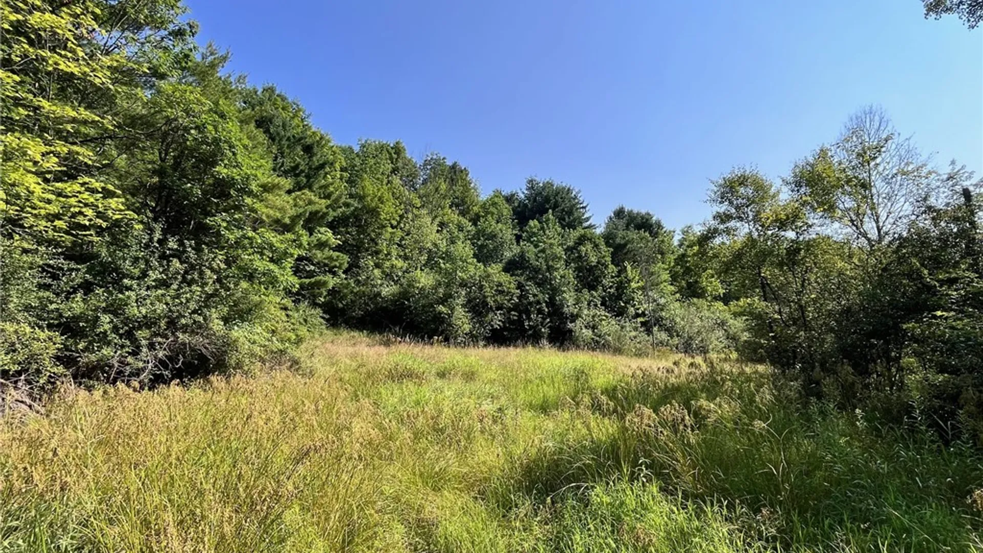 Property at 7130 Rt-417, Bolivar, NY 14715 17