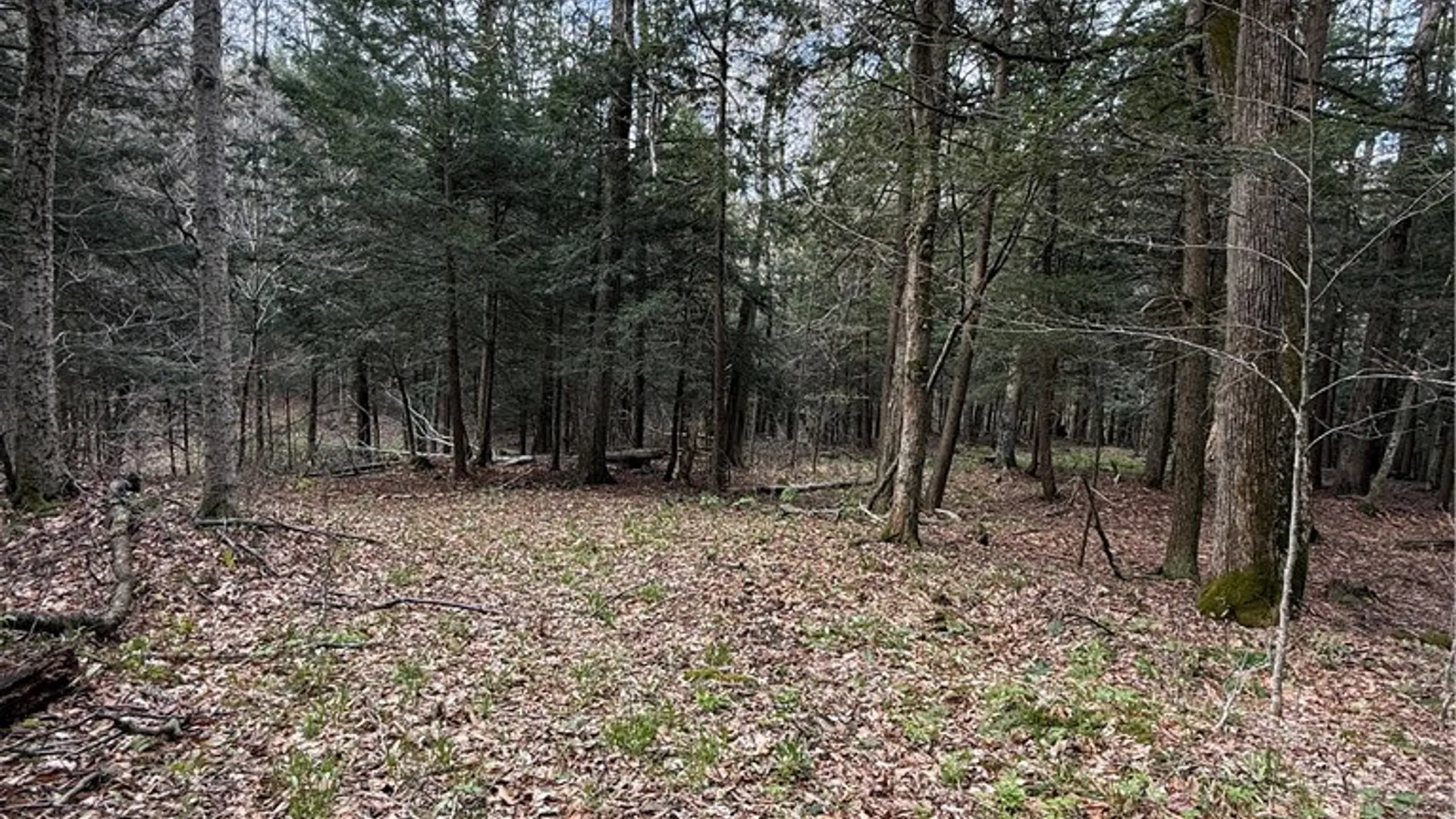 Property at Saunders Gulf Road, Plainfield, NY 13491 3