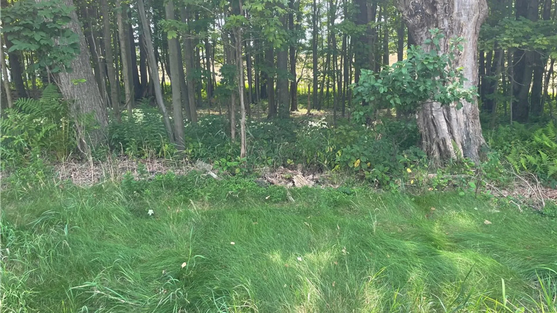 Property at State Highway 206, Masonville, NY 13804 3