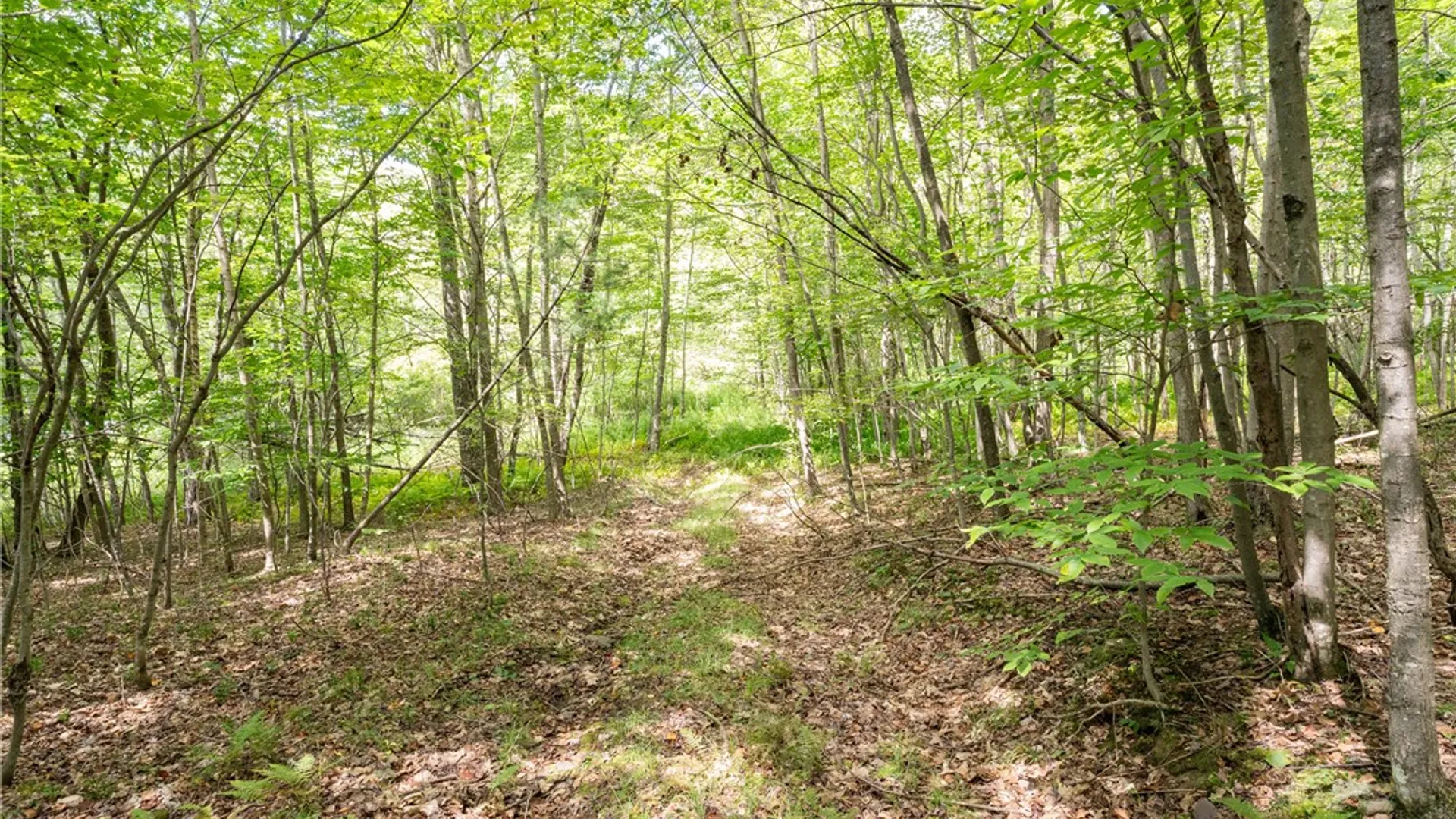 Property at Joe Todd Road, Middletown, NY 12430 3