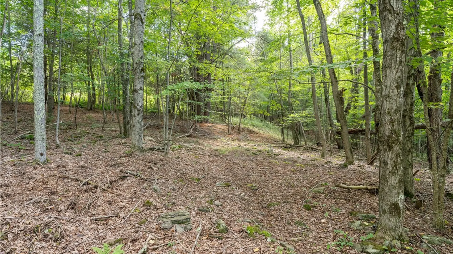 Property at Joe Todd Road, Middletown, NY 12430 6