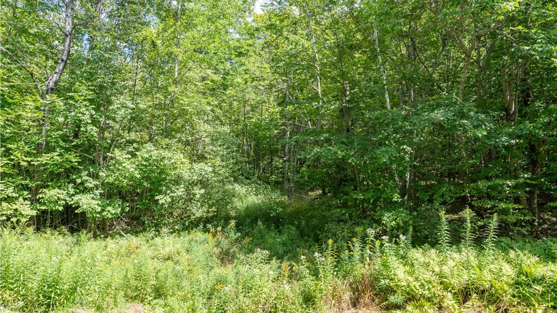 Property at Joe Todd Road, Middletown, NY 12430 8