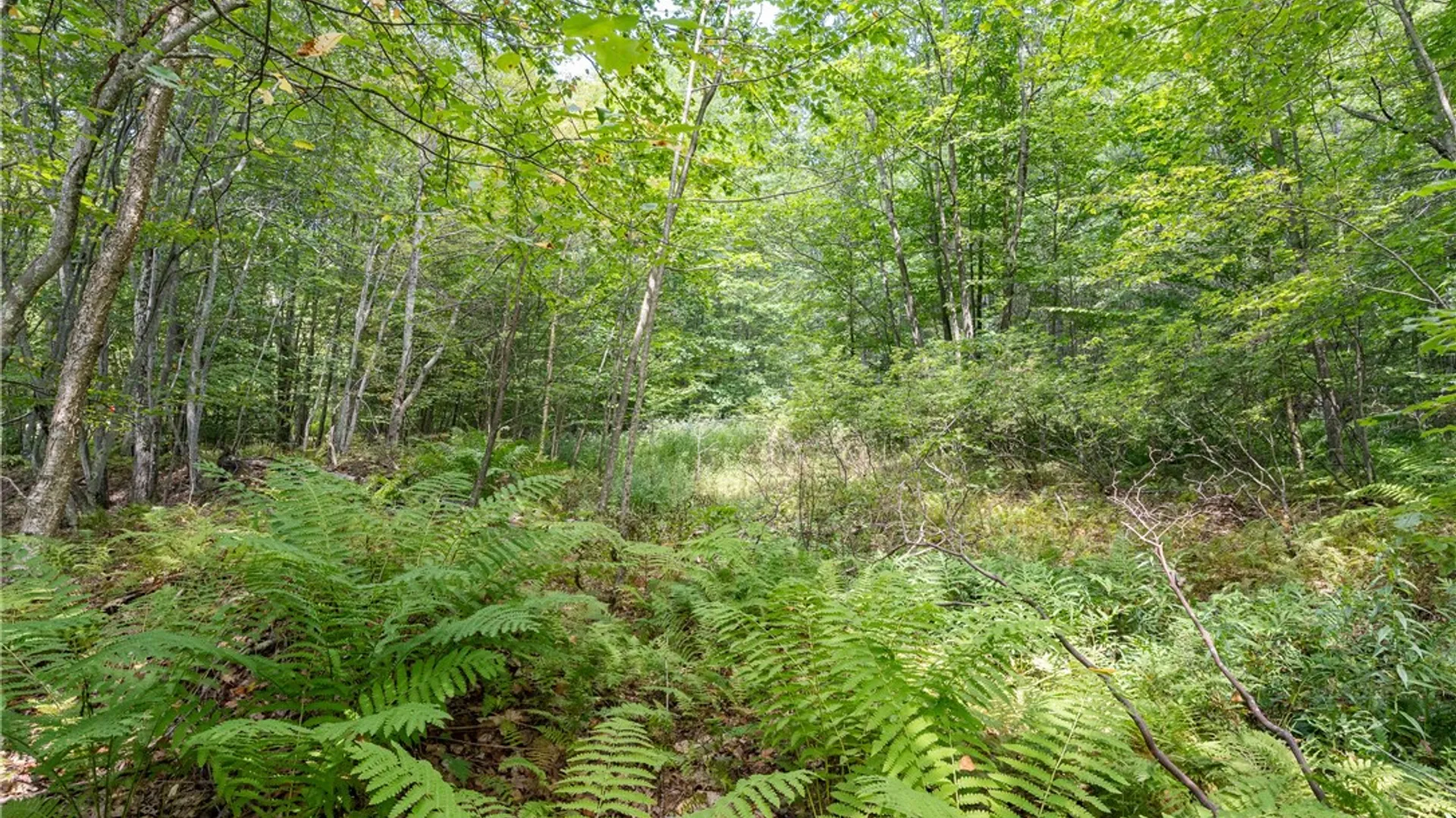 Property at Joe Todd Road, Middletown, NY 12430 9