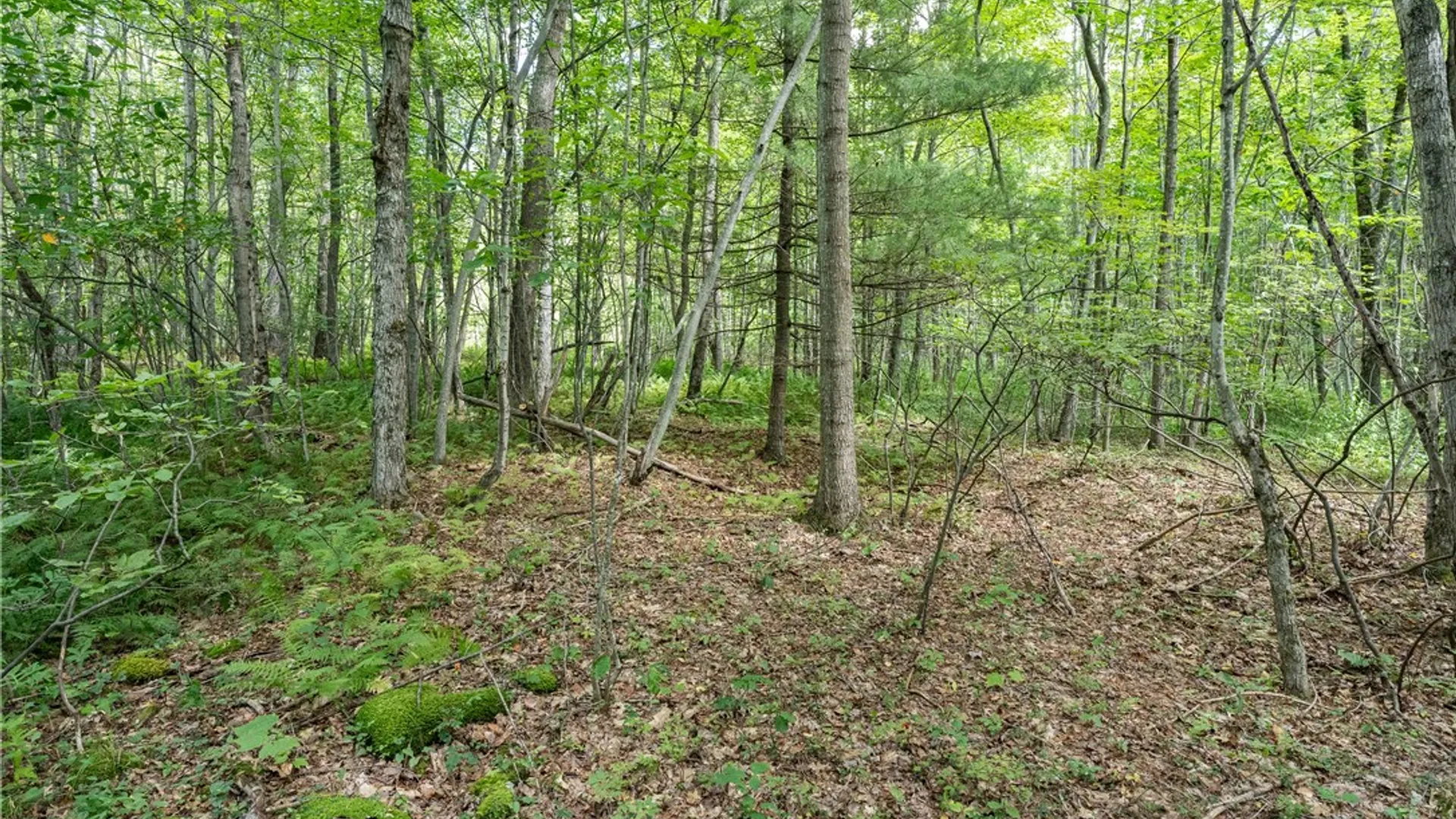 Property at Joe Todd Road, Middletown, NY 12430 11