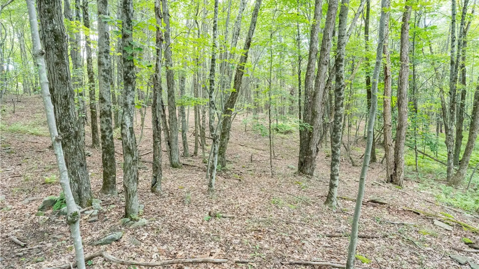 Property at Joe Todd Road, Middletown, NY 12430 13