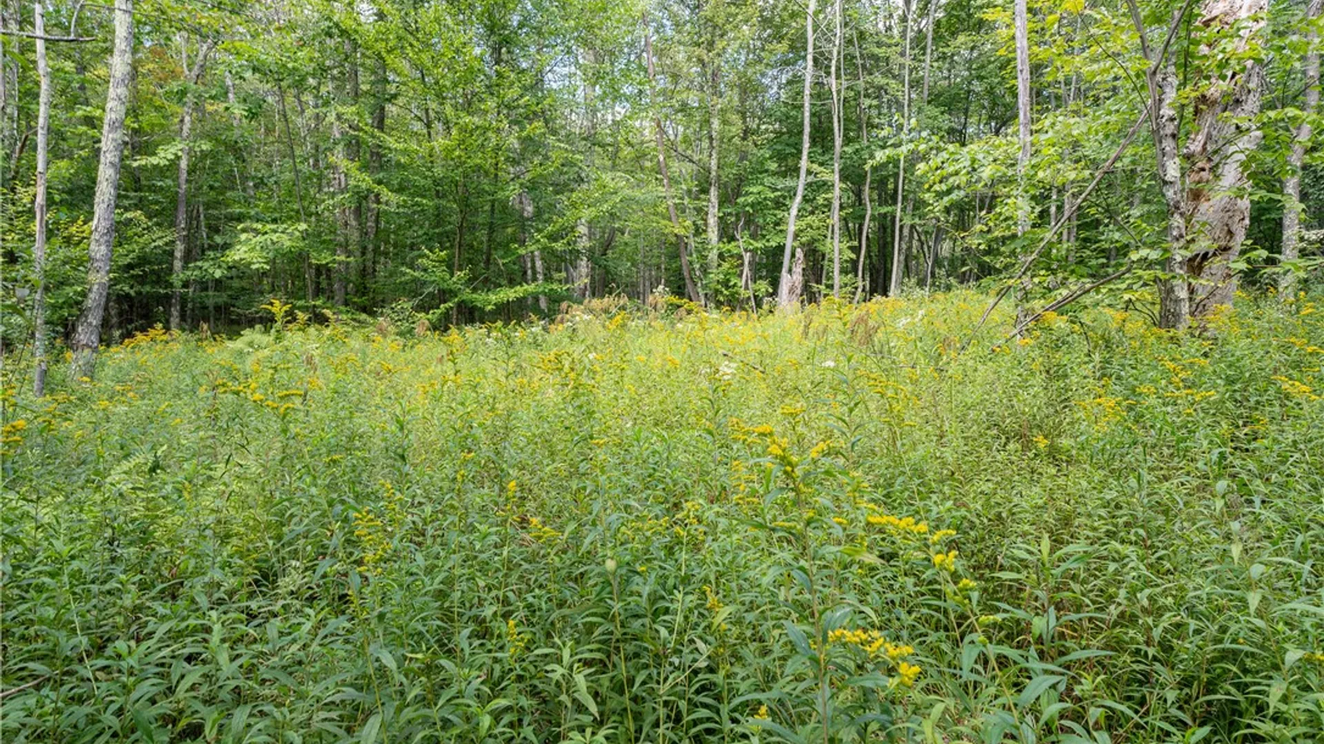 Property at Joe Todd Road, Middletown, NY 12430 15