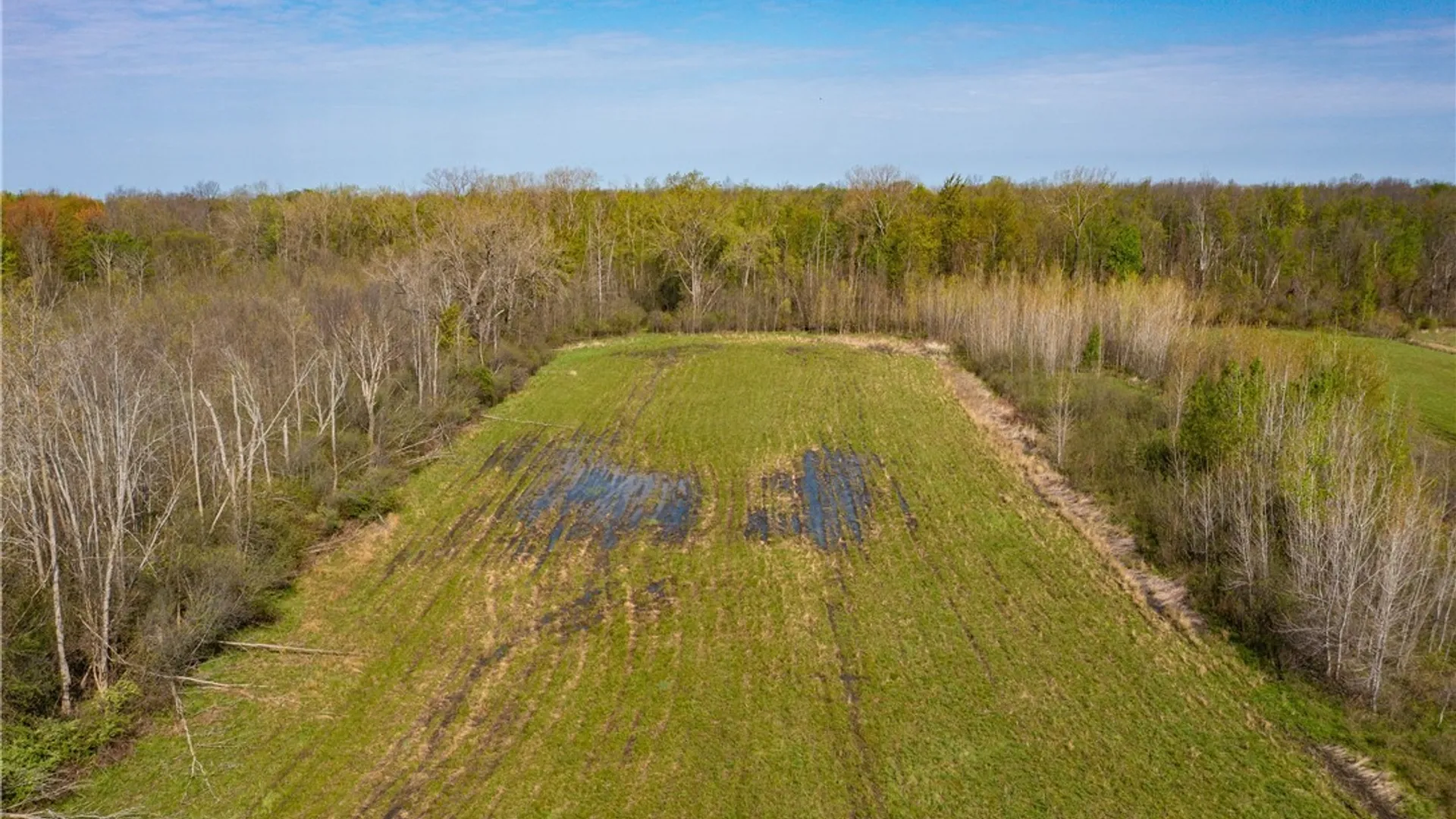 Property at 5208 W Main Road, Pomfret, NY 14063 3