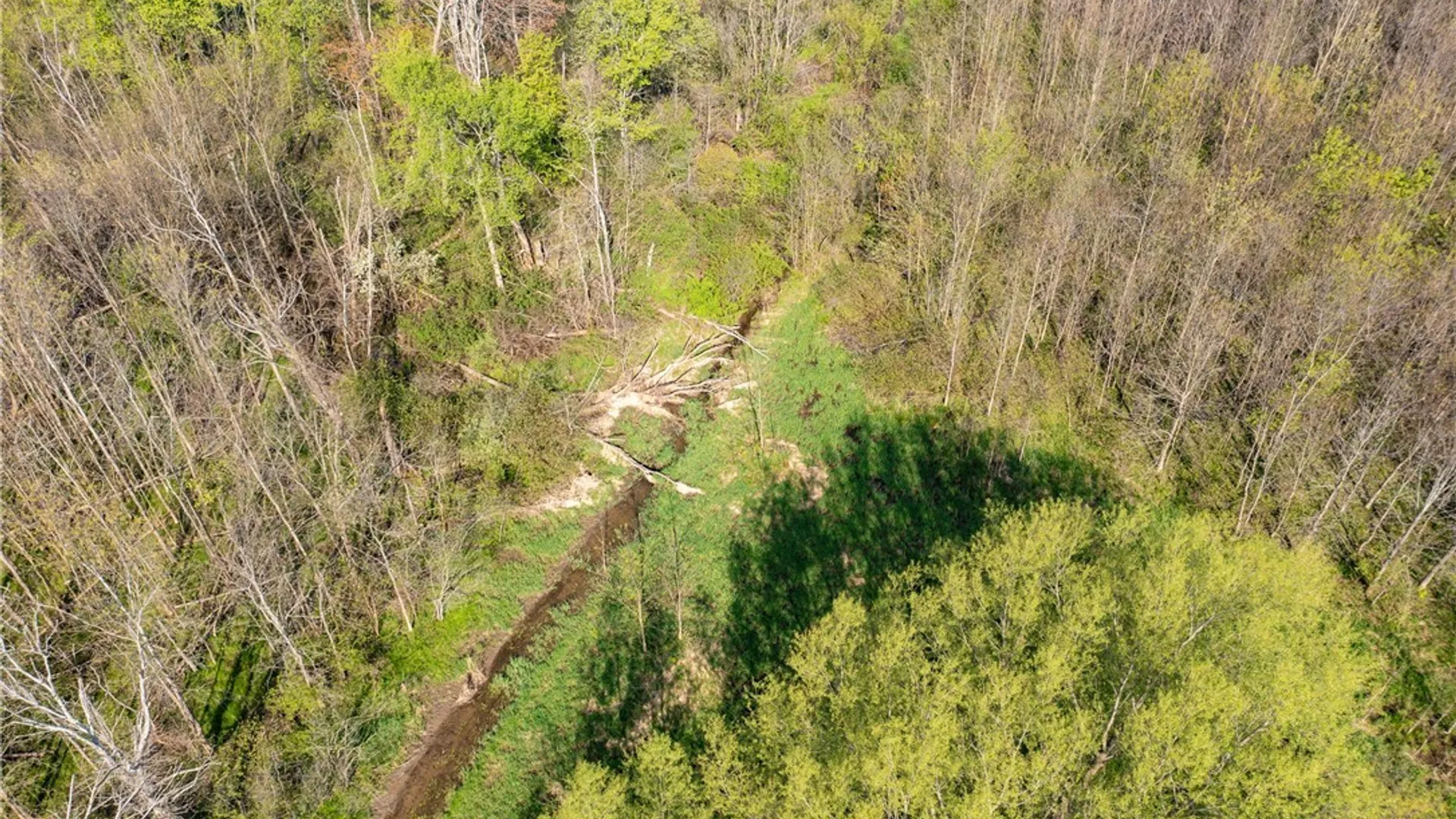Property at 5208 W Main Road, Pomfret, NY 14063 6