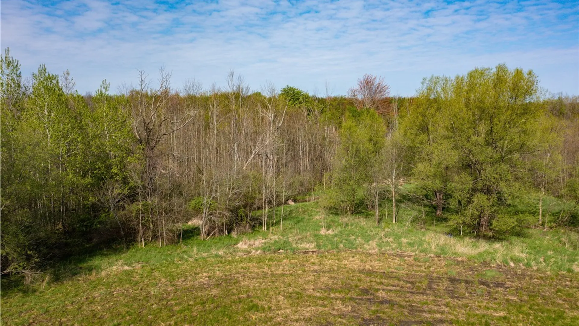 Property at 5208 W Main Road, Pomfret, NY 14063 4