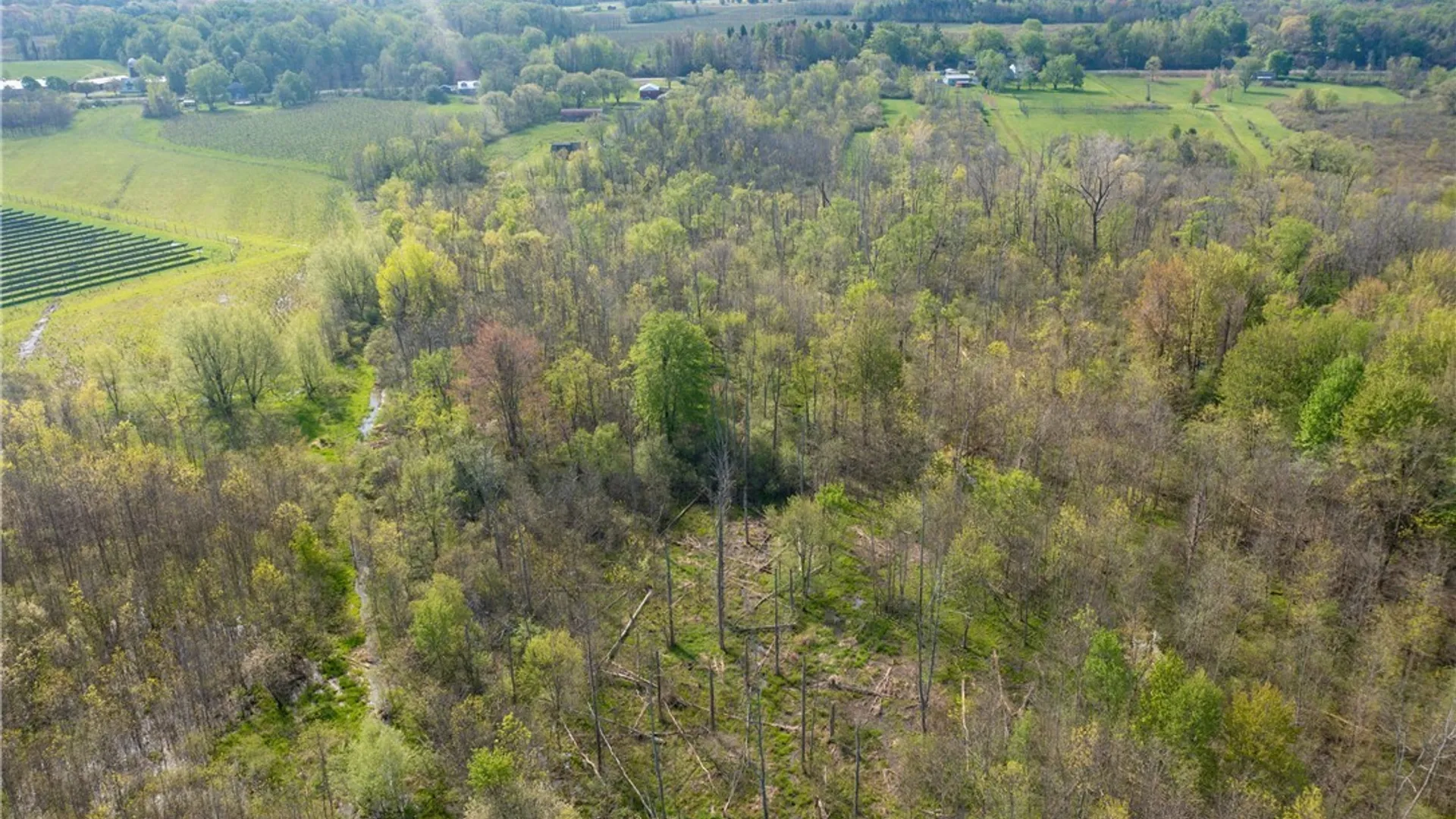 Property at 5208 W Main Road, Pomfret, NY 14063 10