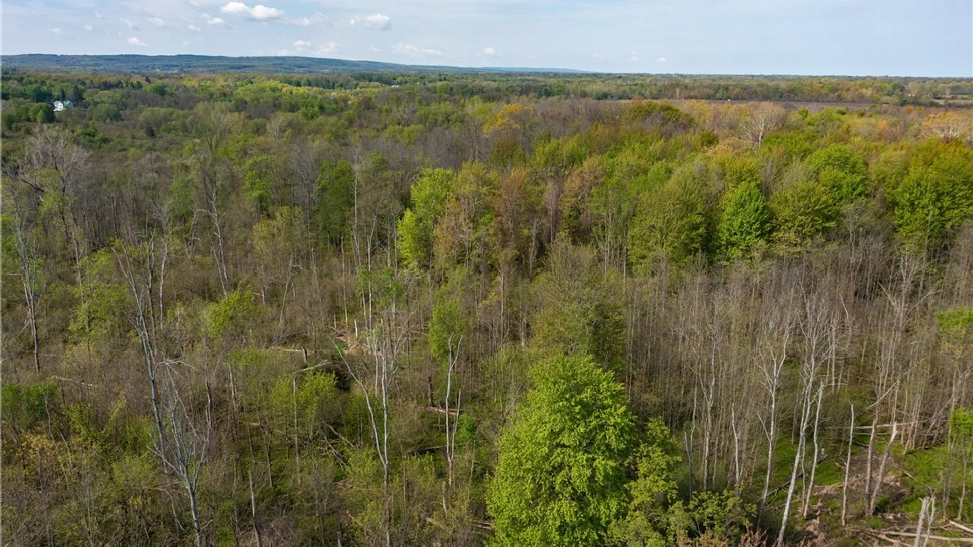 Property at 5208 W Main Road, Pomfret, NY 14063 12