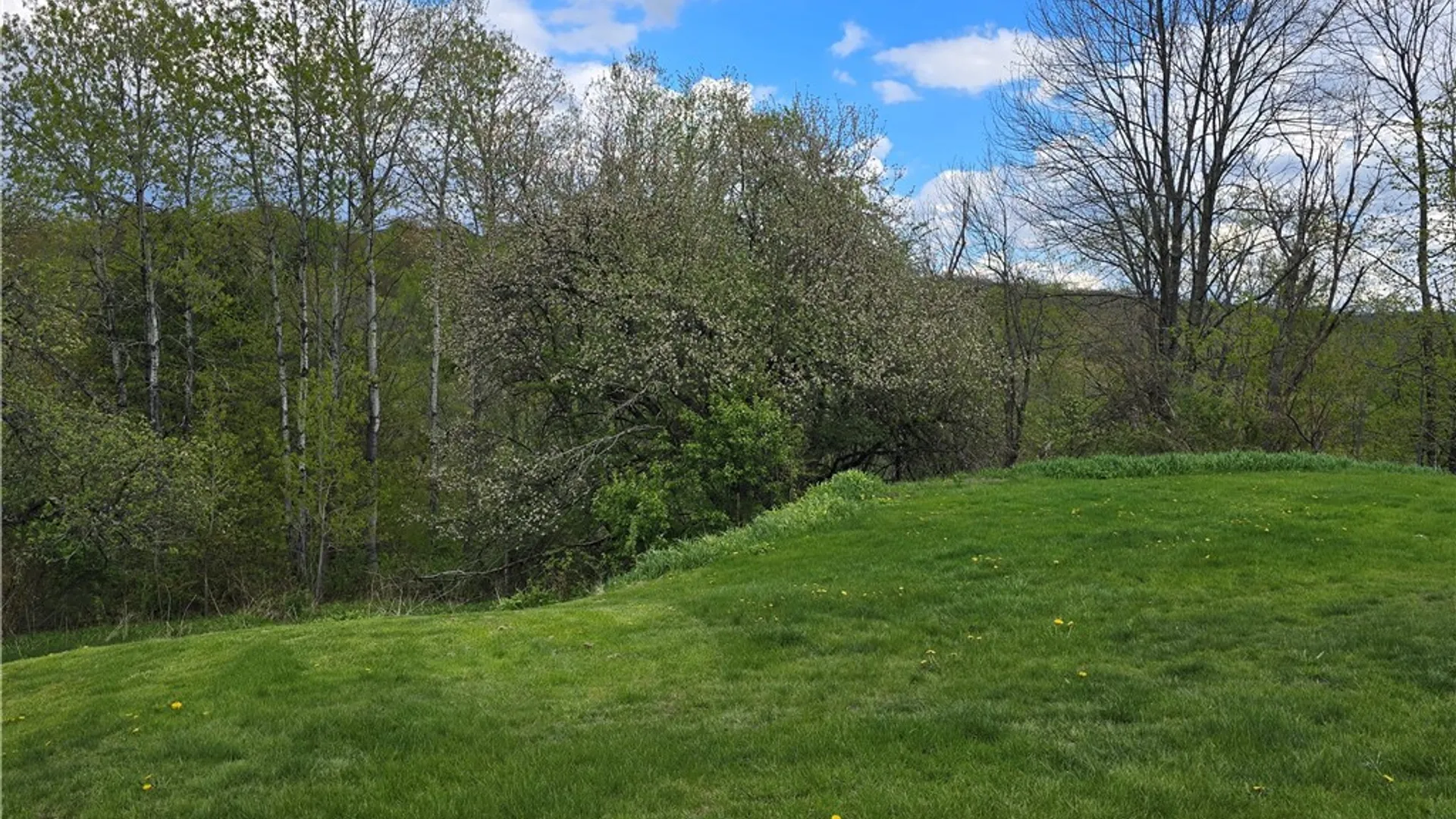 Property at 304 Lynch Road, Fairfield, NY 13365 4