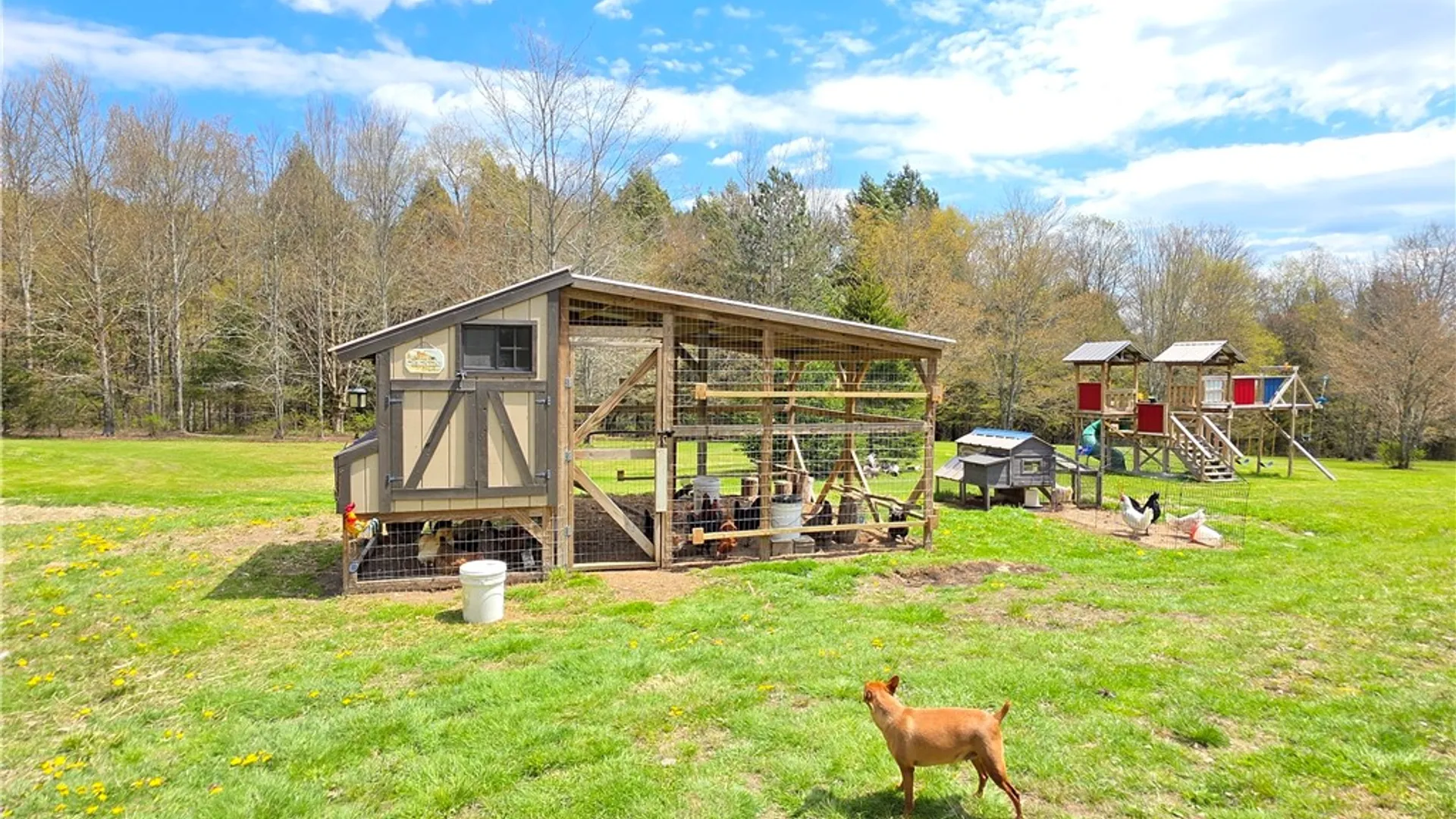 Property at 440 Lena Road, New Lisbon, NY 13810 40