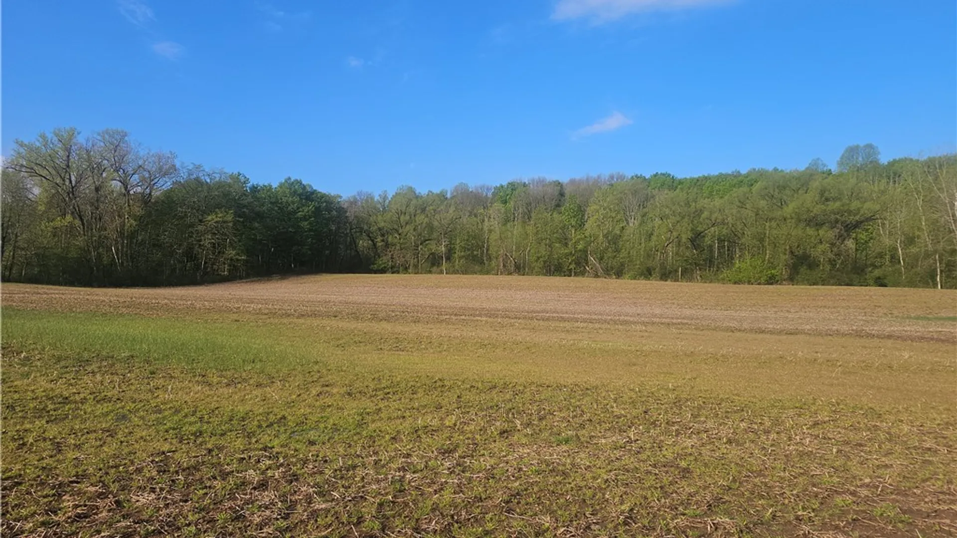 Property at 1537 Tyre ( Entire Parcel) Road, Galen, NY 14433 7