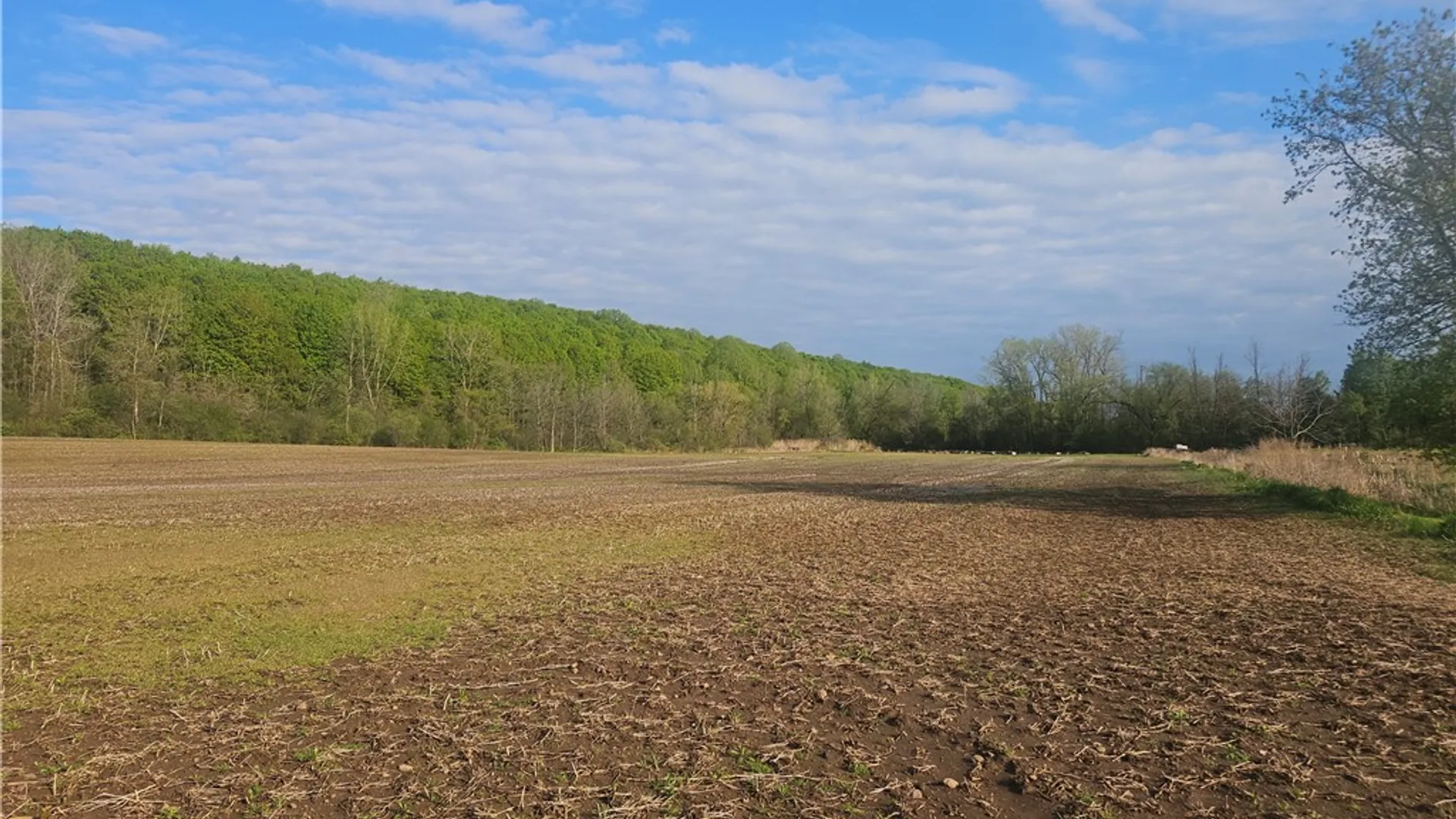 Property at 1537 Tyre ( Entire Parcel) Road, Galen, NY 14433 9