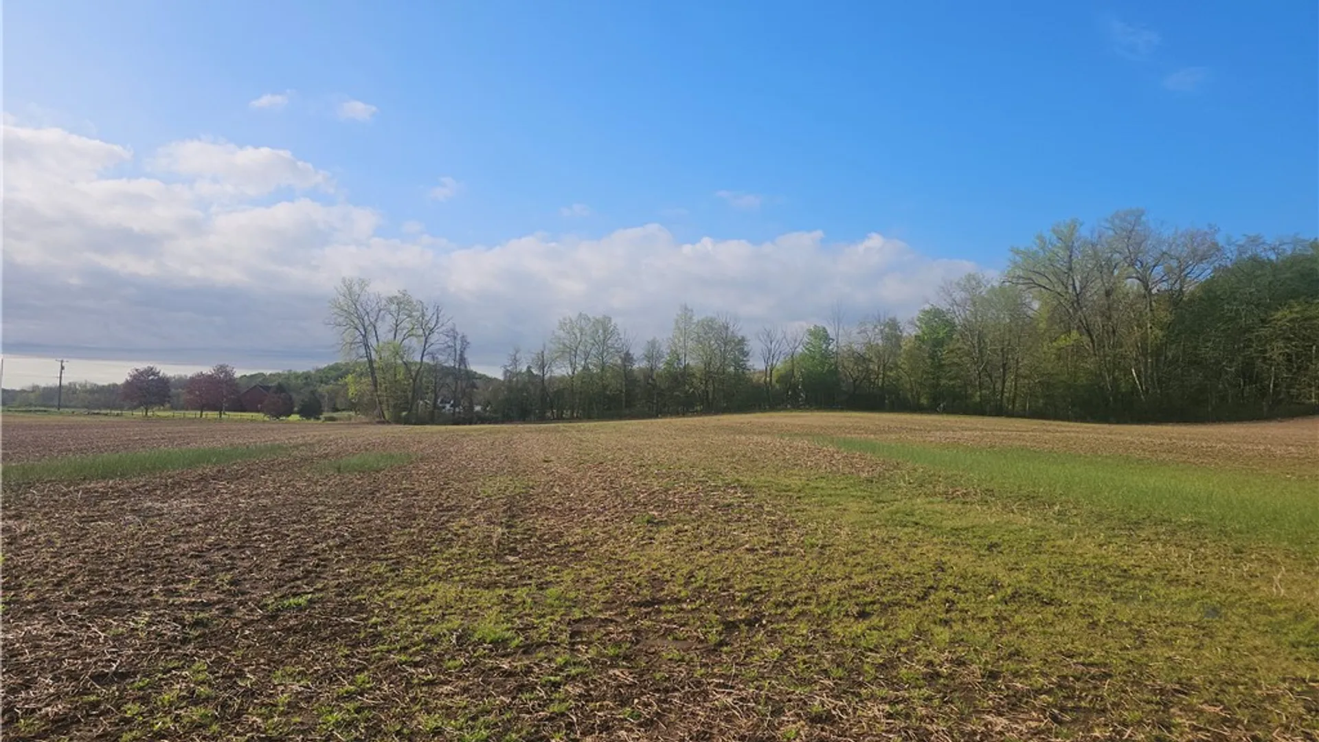 Property at 1537 Tyre Rd ( Parcel A), Galen, NY 14433 6
