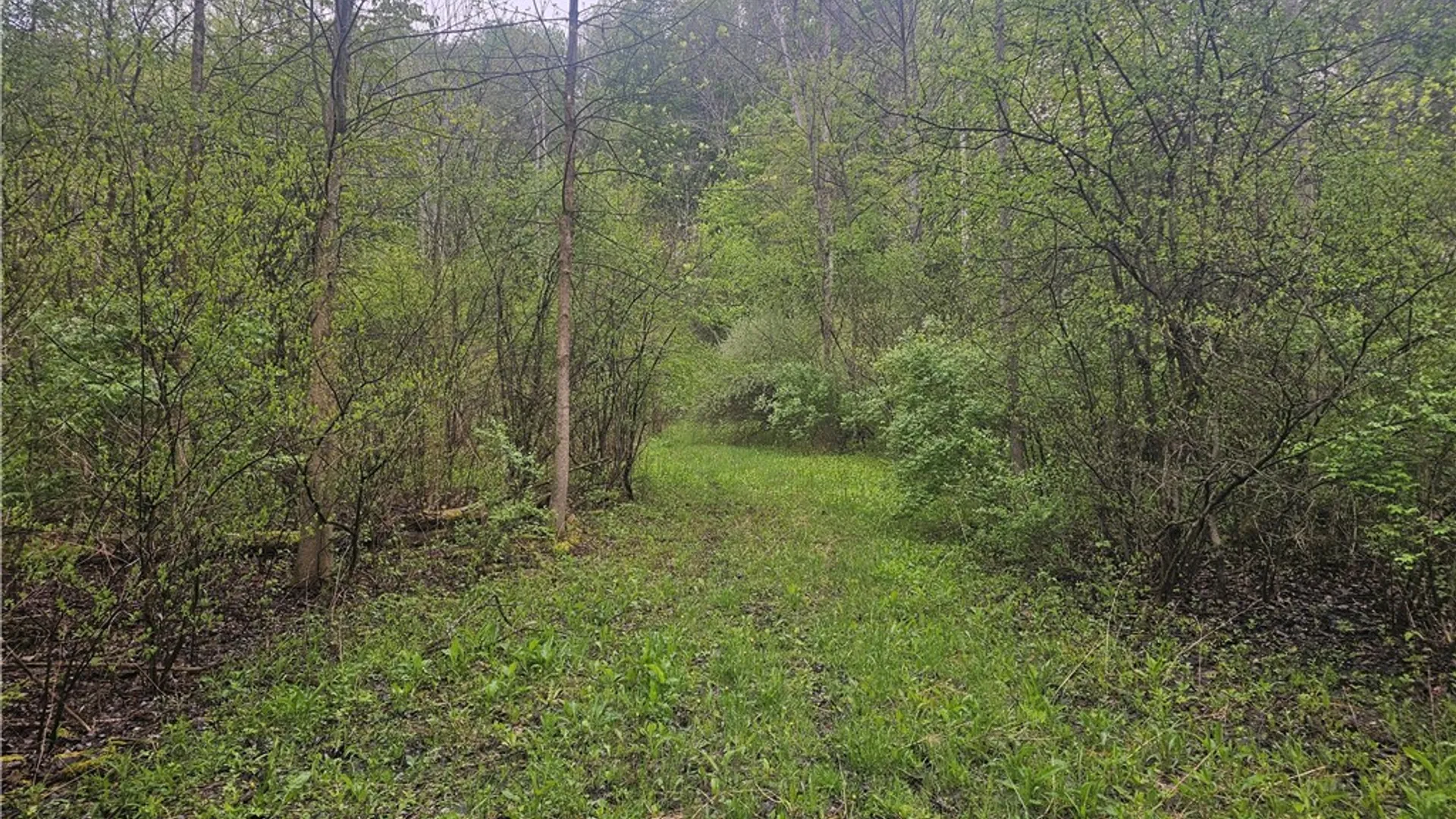 Property at 1537 Tyre Rd ( Parcel C), Galen, NY 14433 8