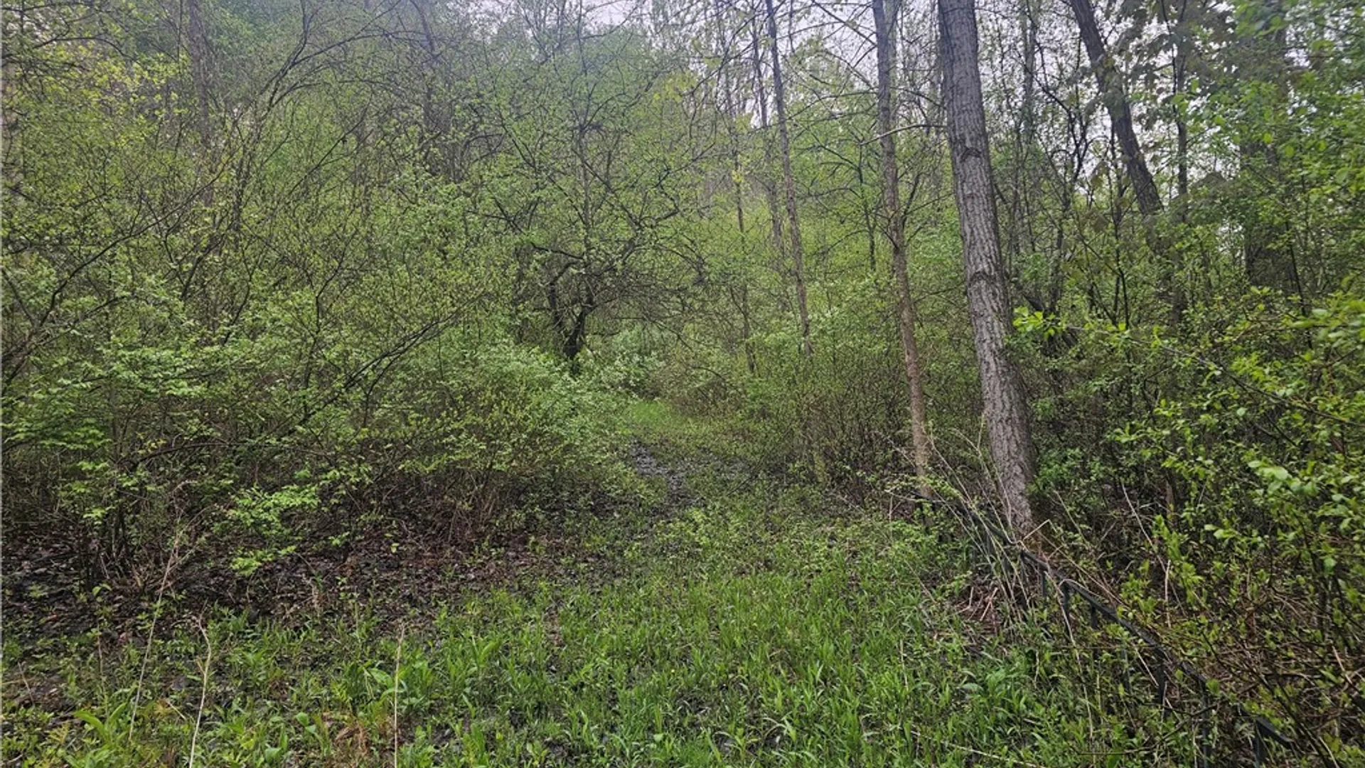 Property at 1537 Tyre Rd ( Parcel C), Galen, NY 14433 9