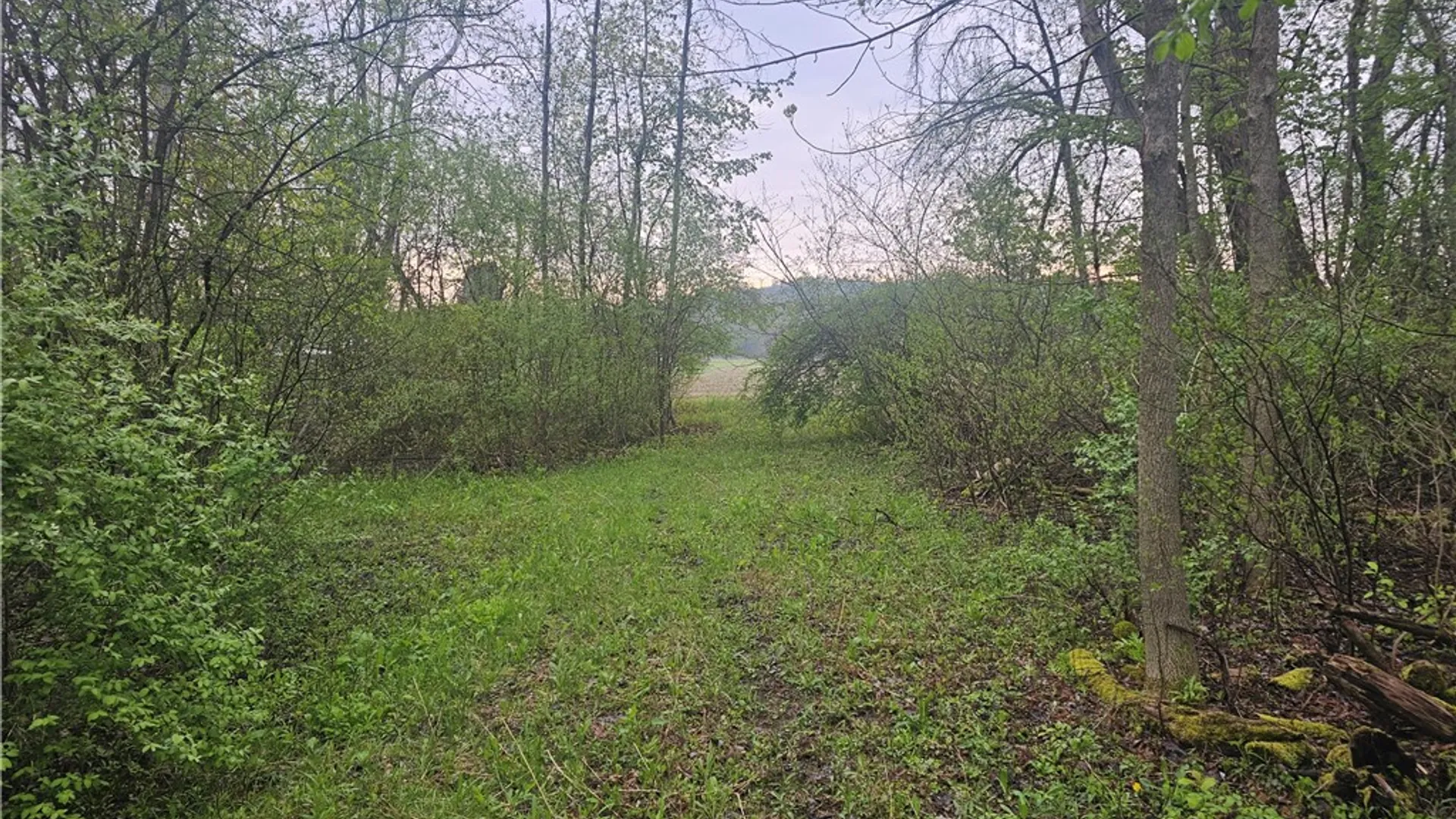 Property at 1537 Tyre Rd ( Parcel C), Galen, NY 14433 10