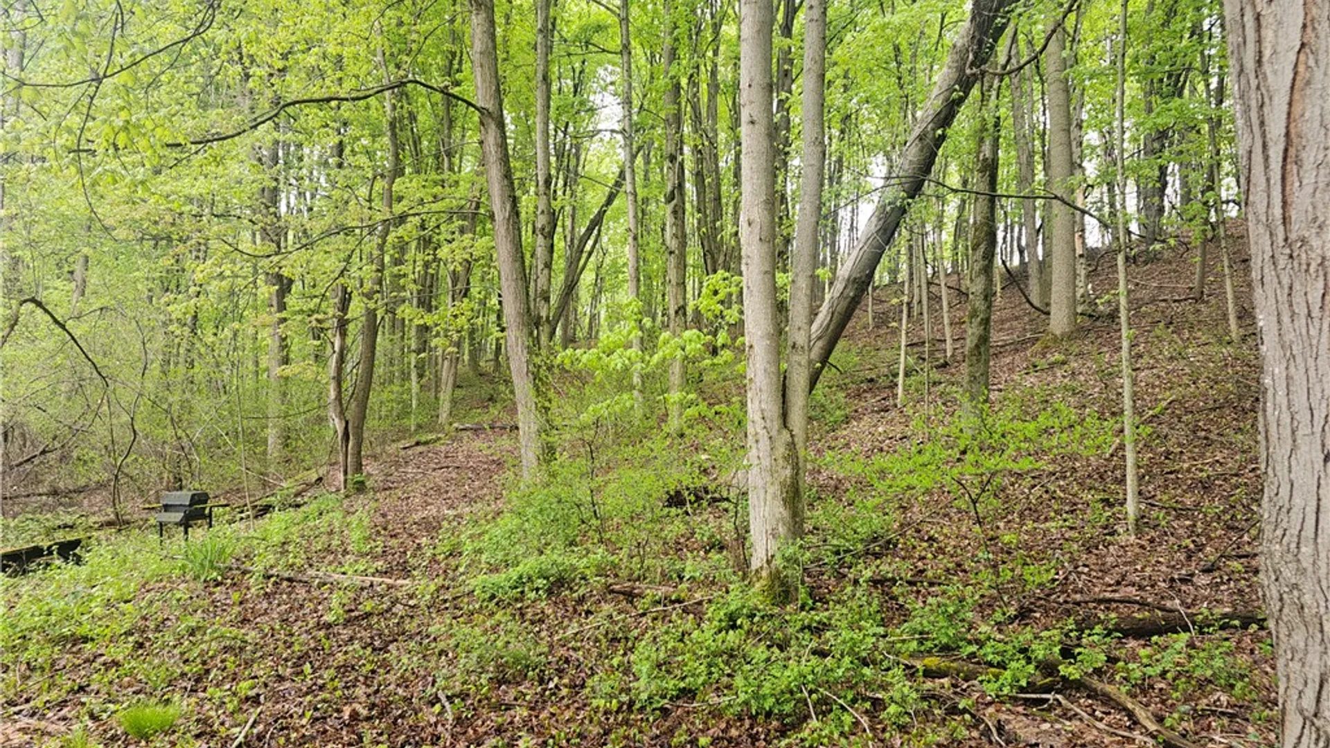 Property at 1537 Tyre Rd ( Parcel C), Galen, NY 14433 13
