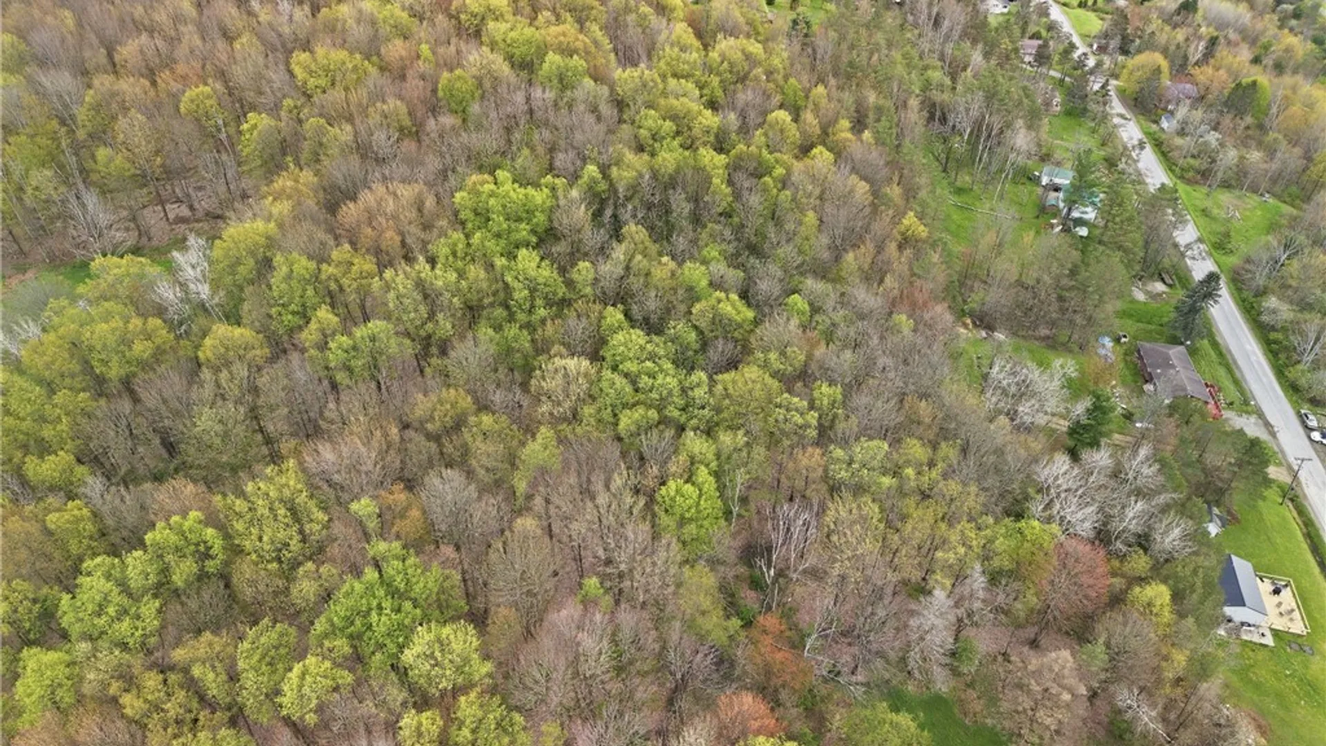 Property at 9970 Skyline Drive, Machias, NY 14042 47