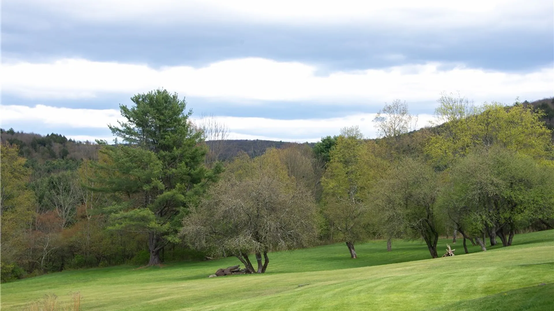 Property at 183 Guy Beardsley Road, Butternuts, NY 13825 10
