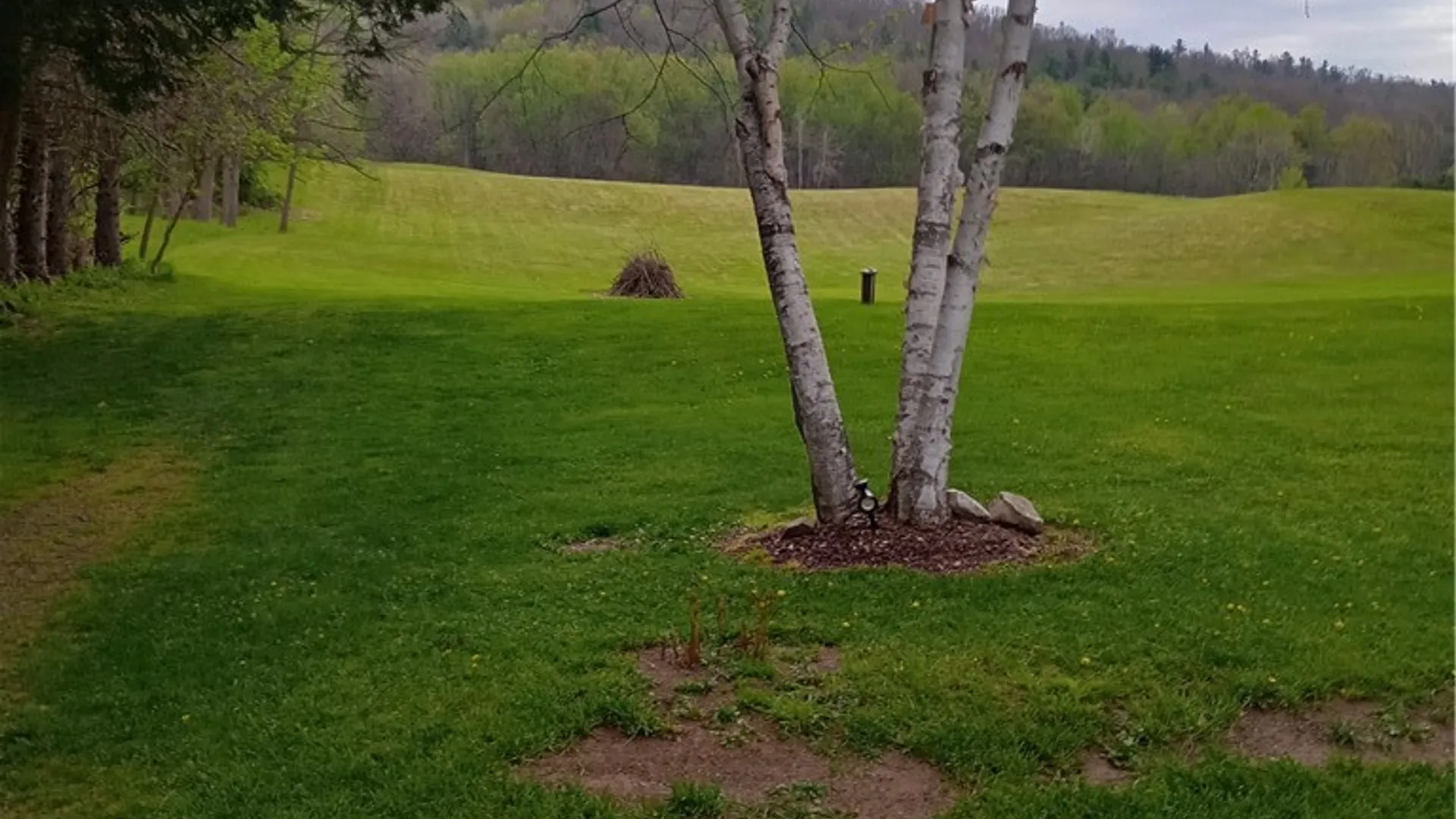 Property at 773 State Highway 7, Unadilla, NY 13849 30