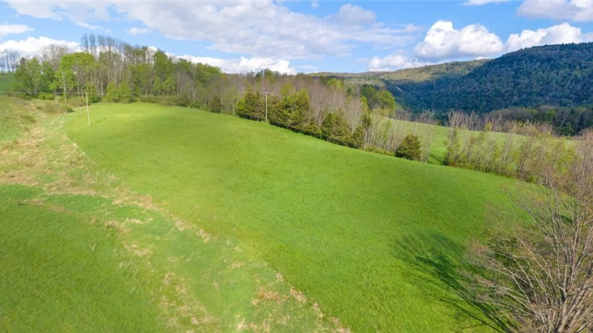 Property at Westkill Road, Blenheim, NY 12093 32