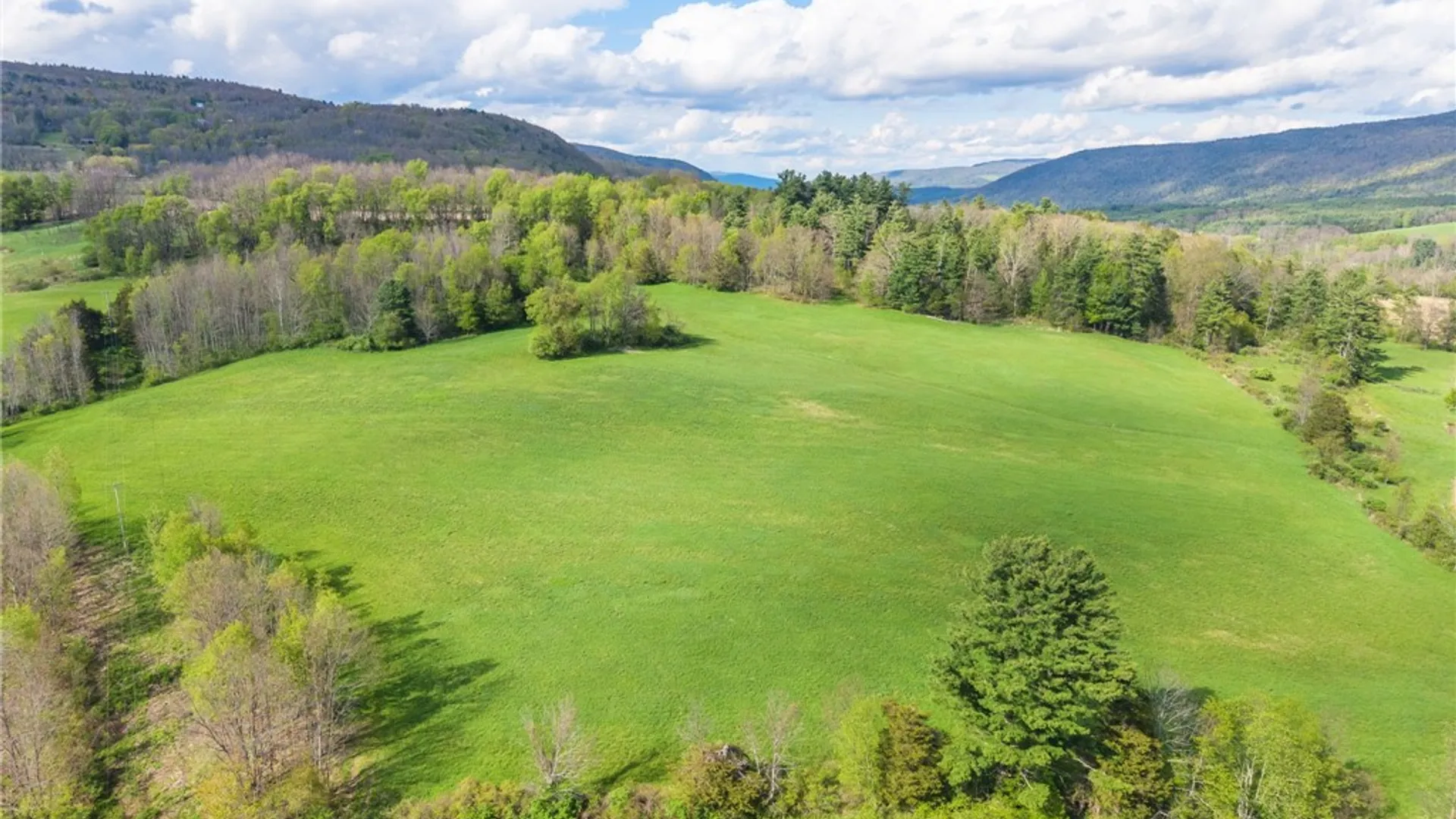 Property at Westkill Road, Blenheim, NY 12093 5