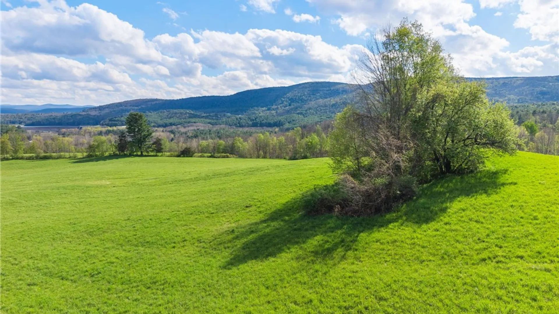 Property at Westkill Road, Blenheim, NY 12093 22
