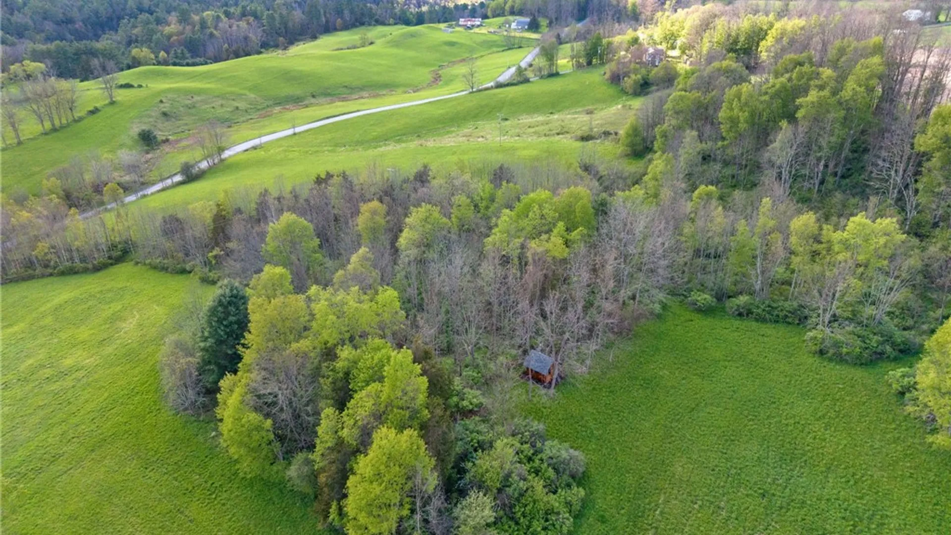 Property at Westkill Road, Blenheim, NY 12093 26