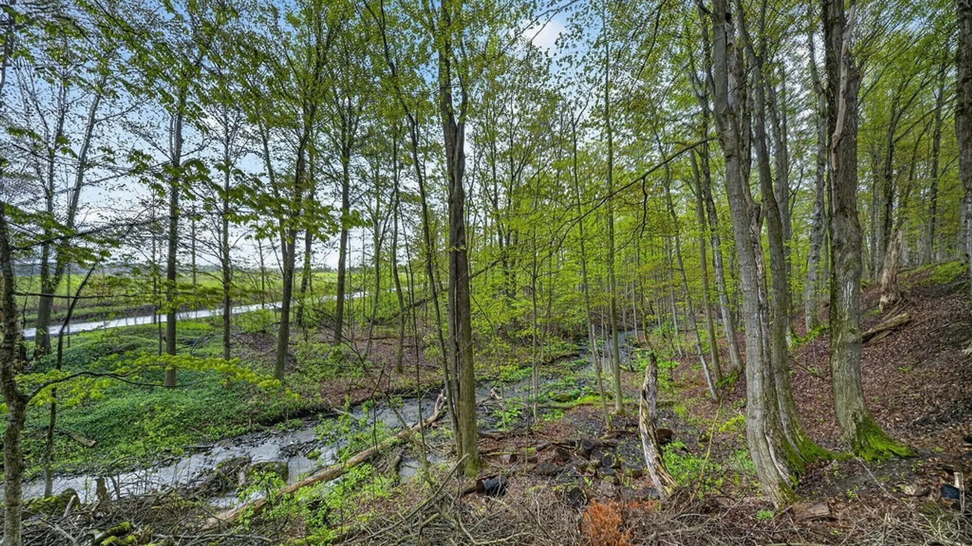 Property at 2421 Shamrock Road, Spafford, NY 13152 6