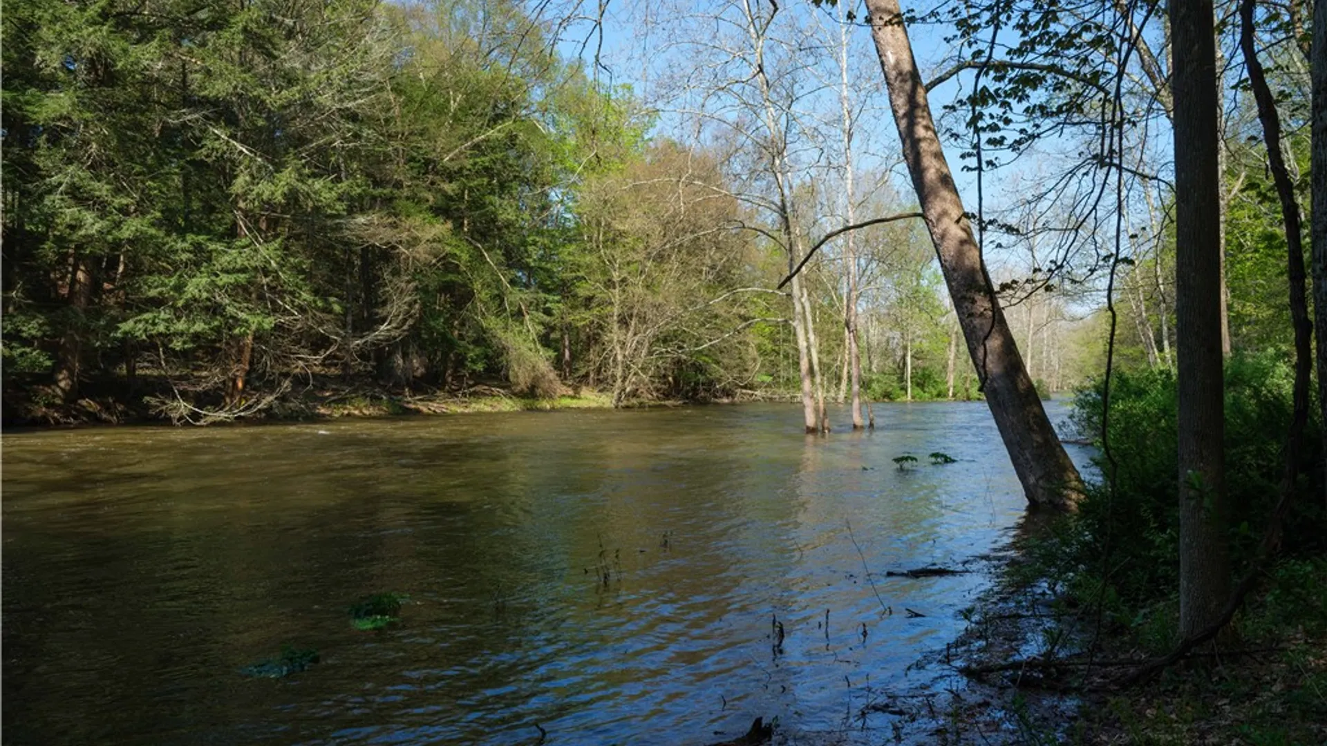 Property at 1181 County Highway 44, Sidney, NY 13775 30