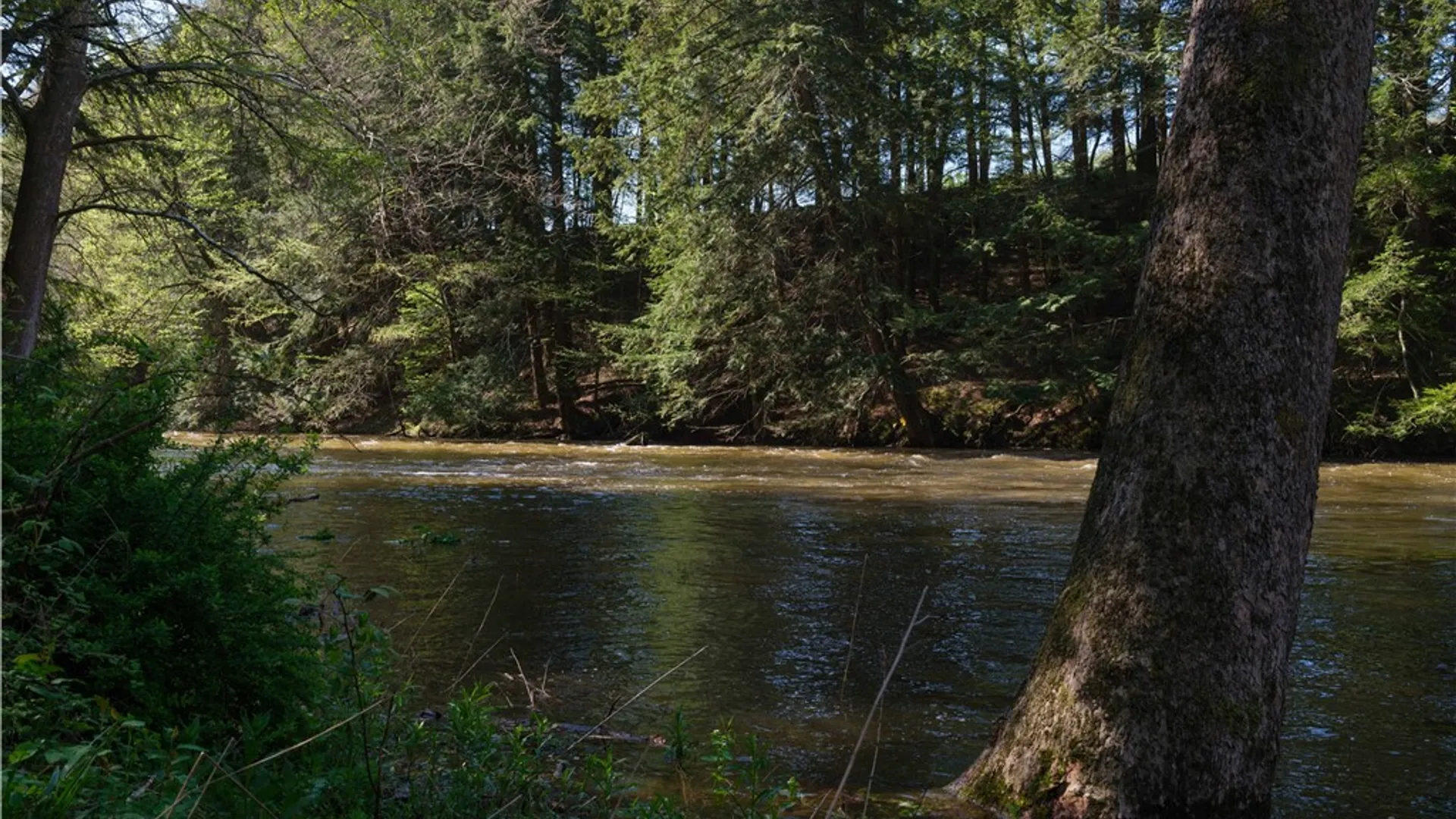 Property at 1181 County Highway 44, Sidney, NY 13775 31