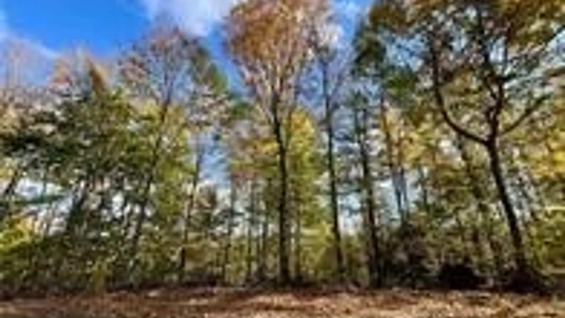 Property at Hogback Road, Butler, NY 13143 11