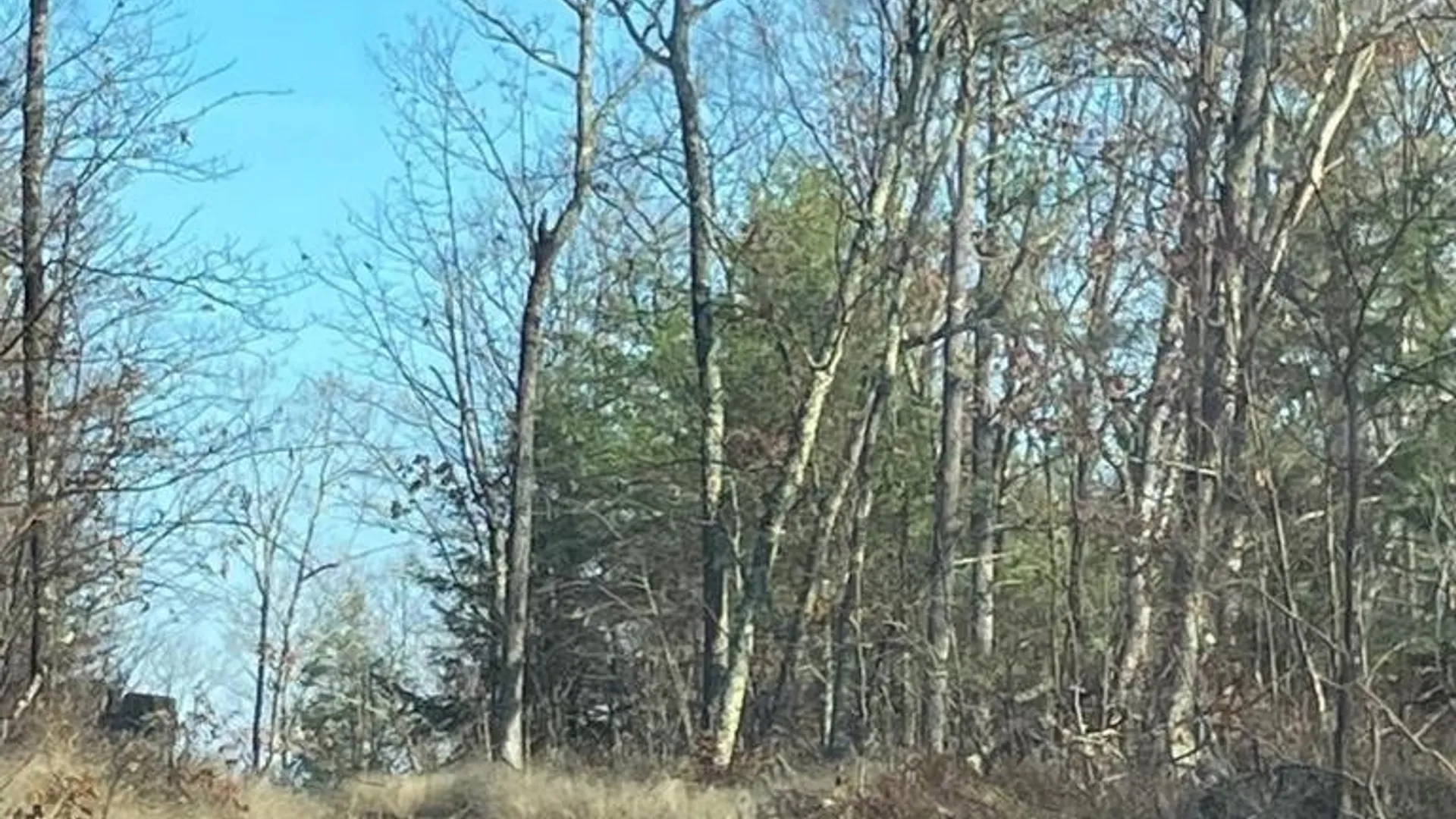 Property at L26 & L27 Ecker Hollow Road, Cobleskill, NY 12157 3