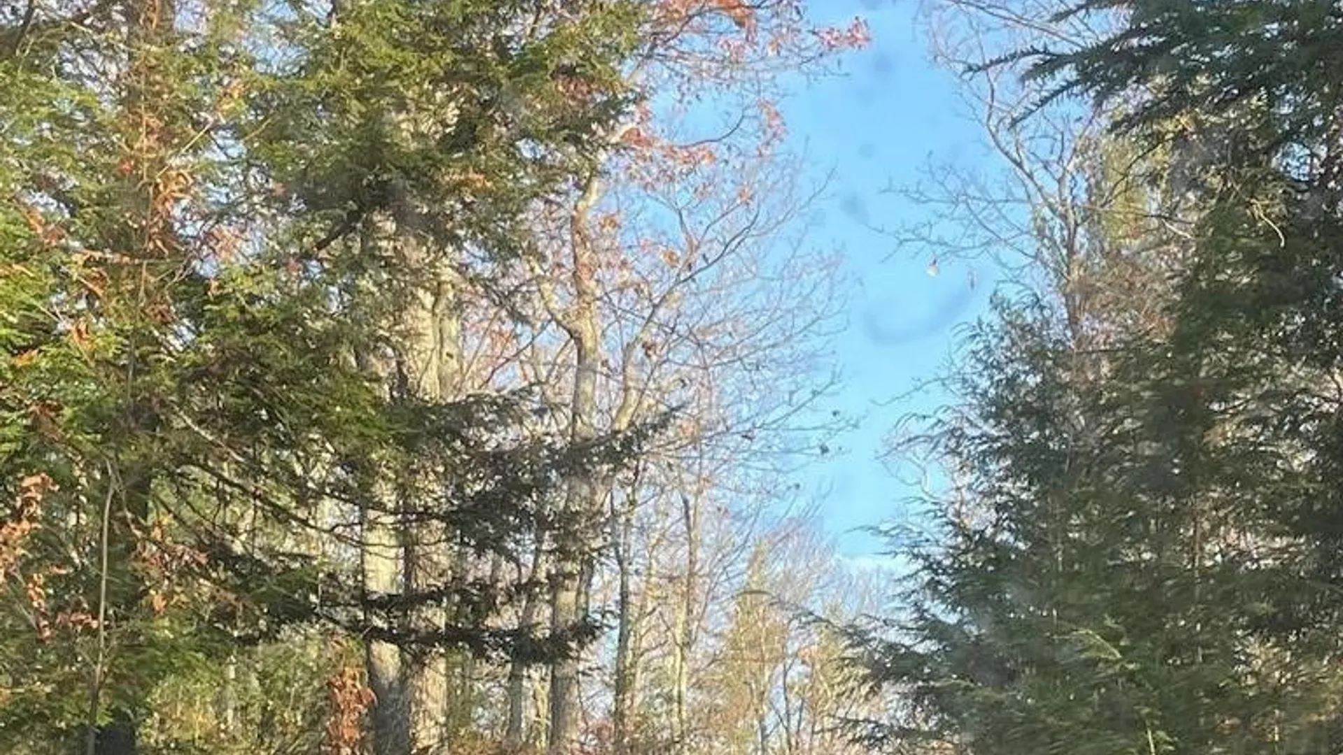 Property at L26 & L27 Ecker Hollow Road, Cobleskill, NY 12157 6