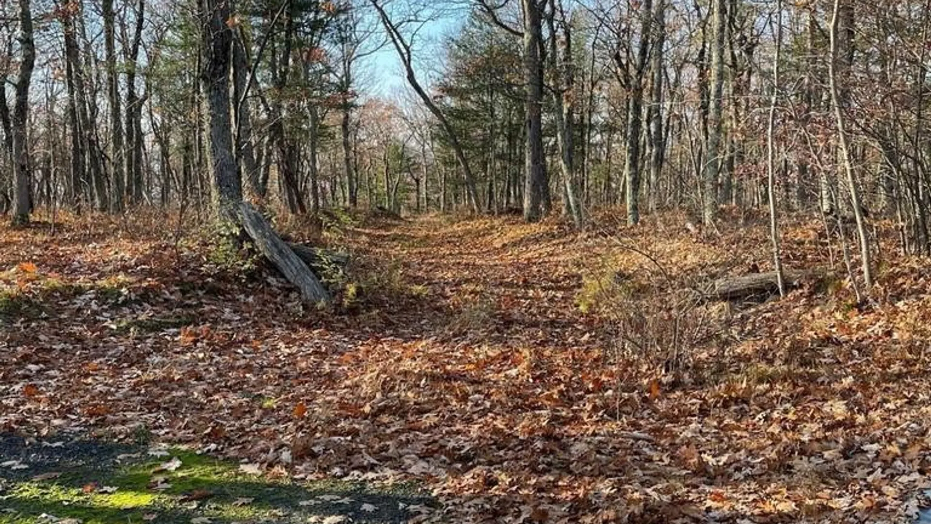 Property at L26 & L27 Ecker Hollow Road, Cobleskill, NY 12157 8