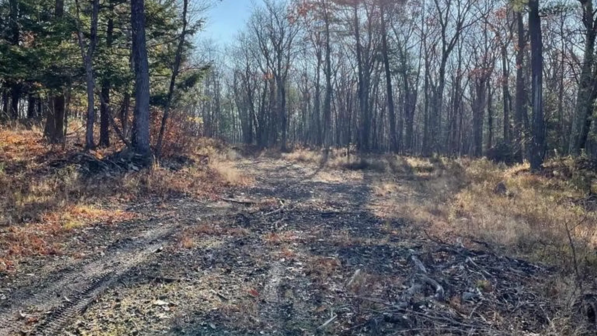 Property at L26 & L27 Ecker Hollow Road, Cobleskill, NY 12157 9