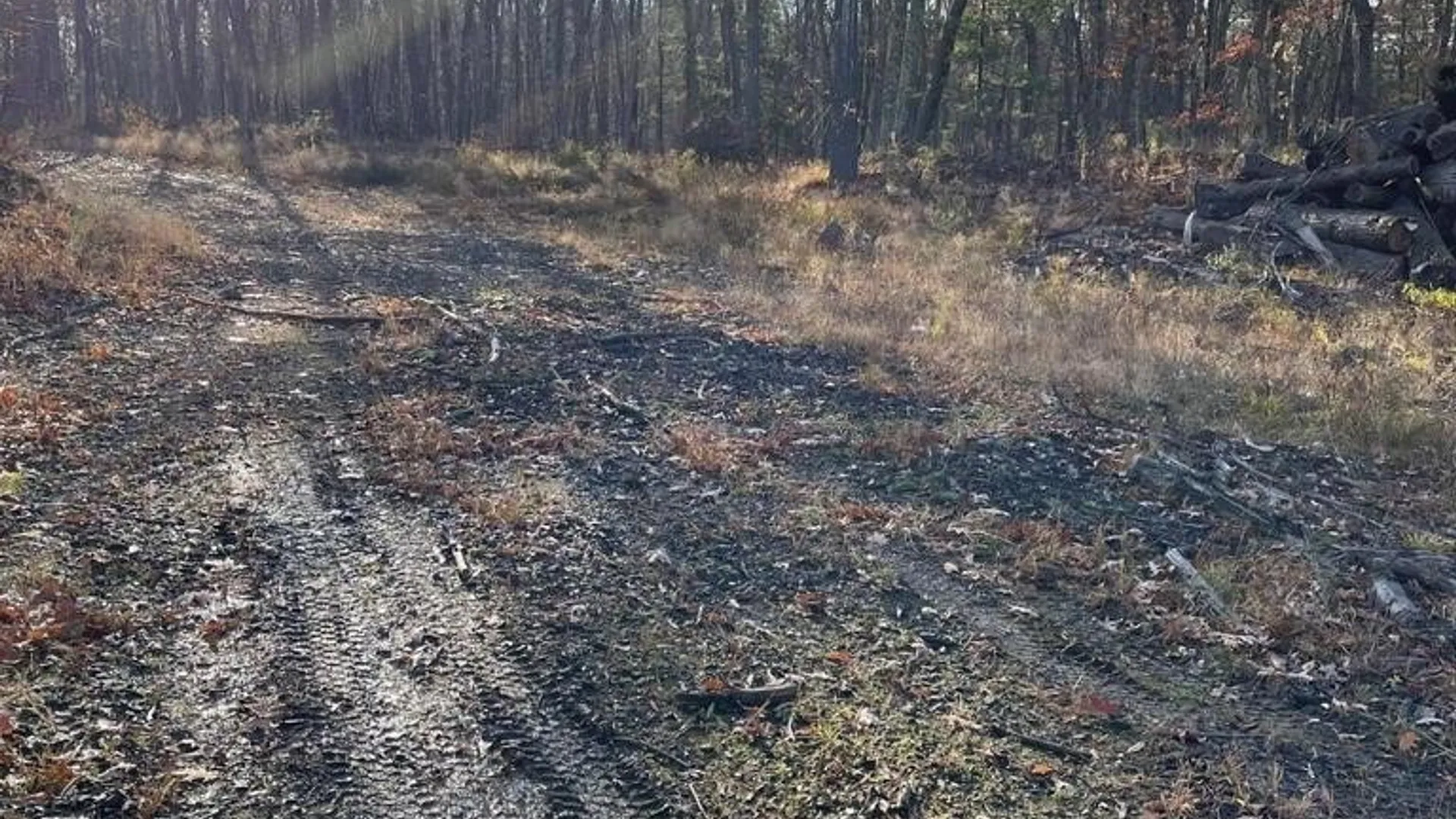 Property at L26 & L27 Ecker Hollow Road, Cobleskill, NY 12157 10