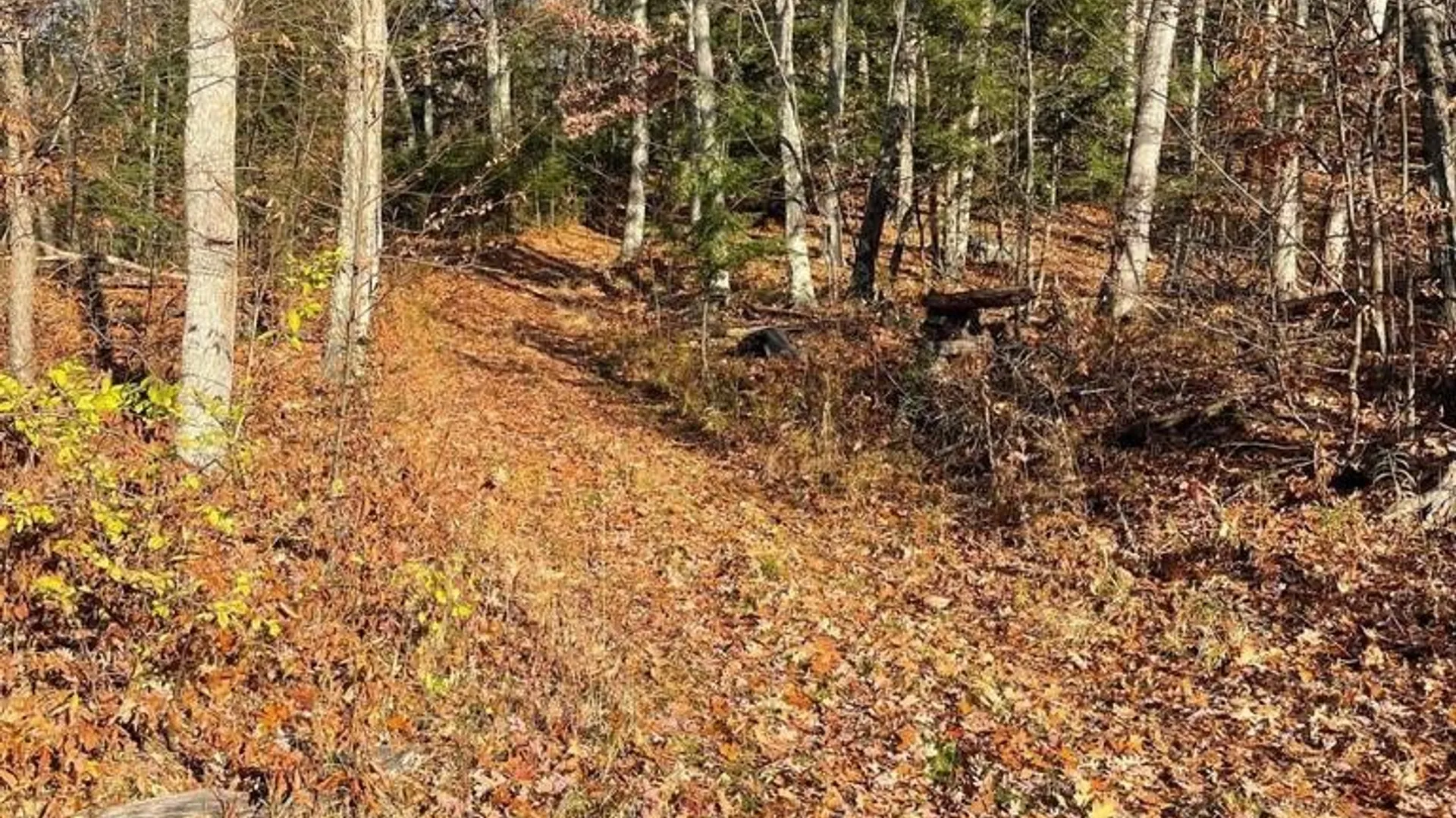 Property at L26 & L27 Ecker Hollow Road, Cobleskill, NY 12157 11