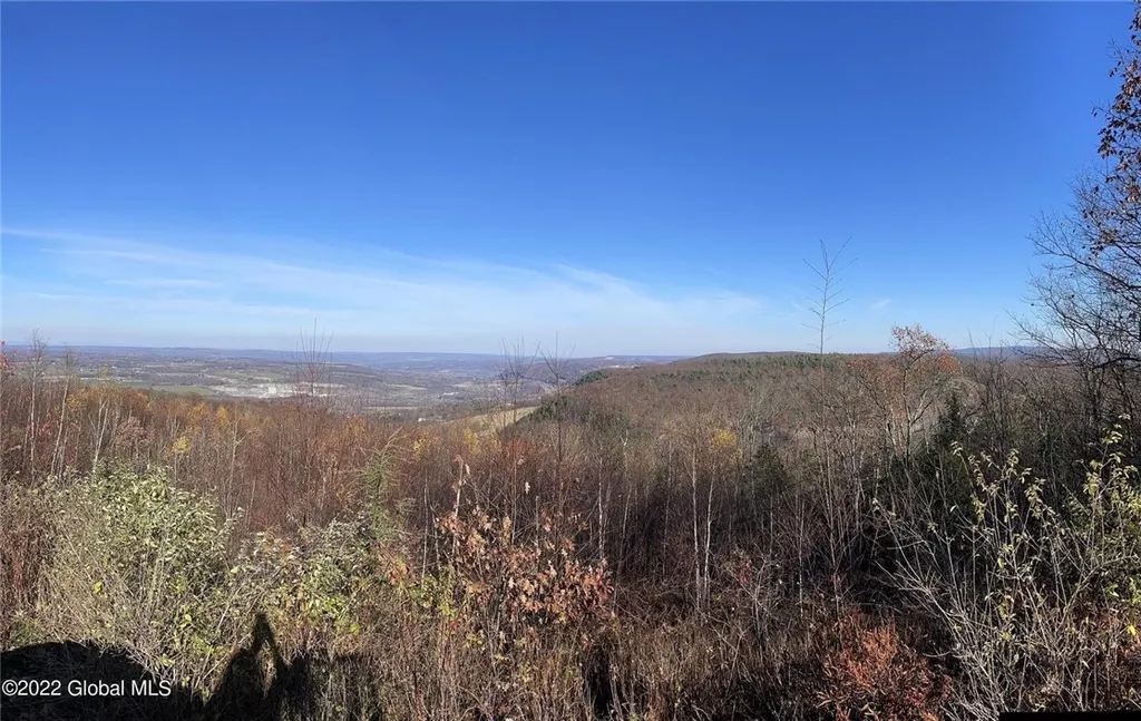 Property at L26 & L27 Ecker Hollow Road, Cobleskill, NY 12157