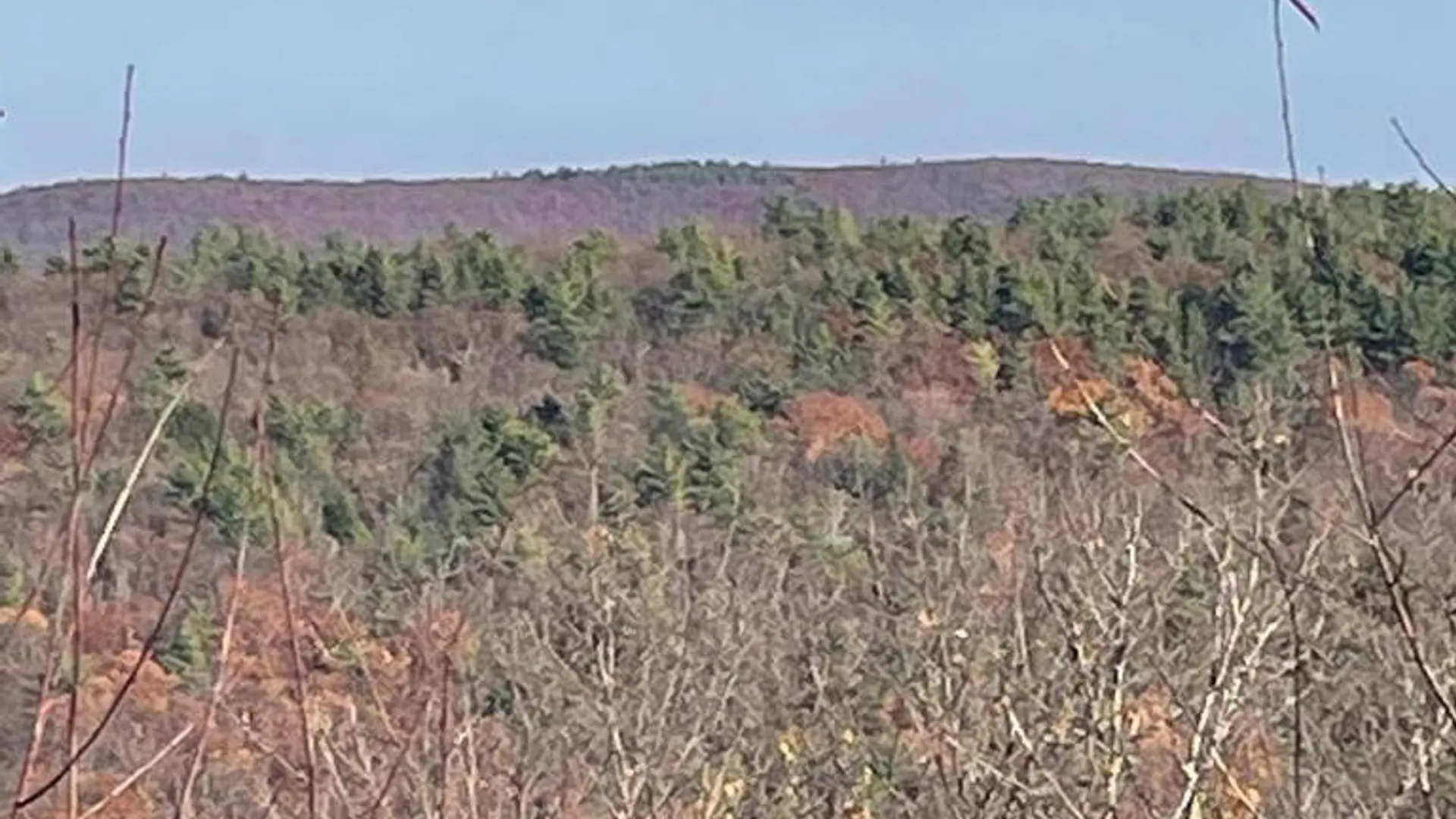 Property at L26 & L27 Ecker Hollow Road, Cobleskill, NY 12157 16