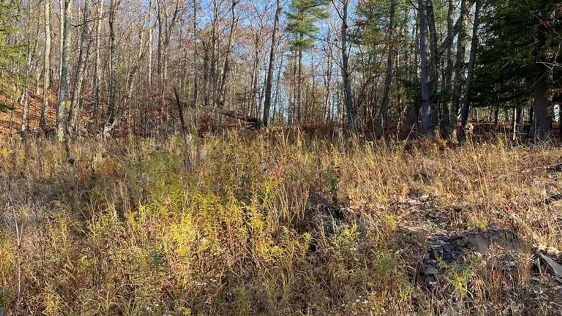 Property at L26 & L27 Ecker Hollow Road, Cobleskill, NY 12157 18