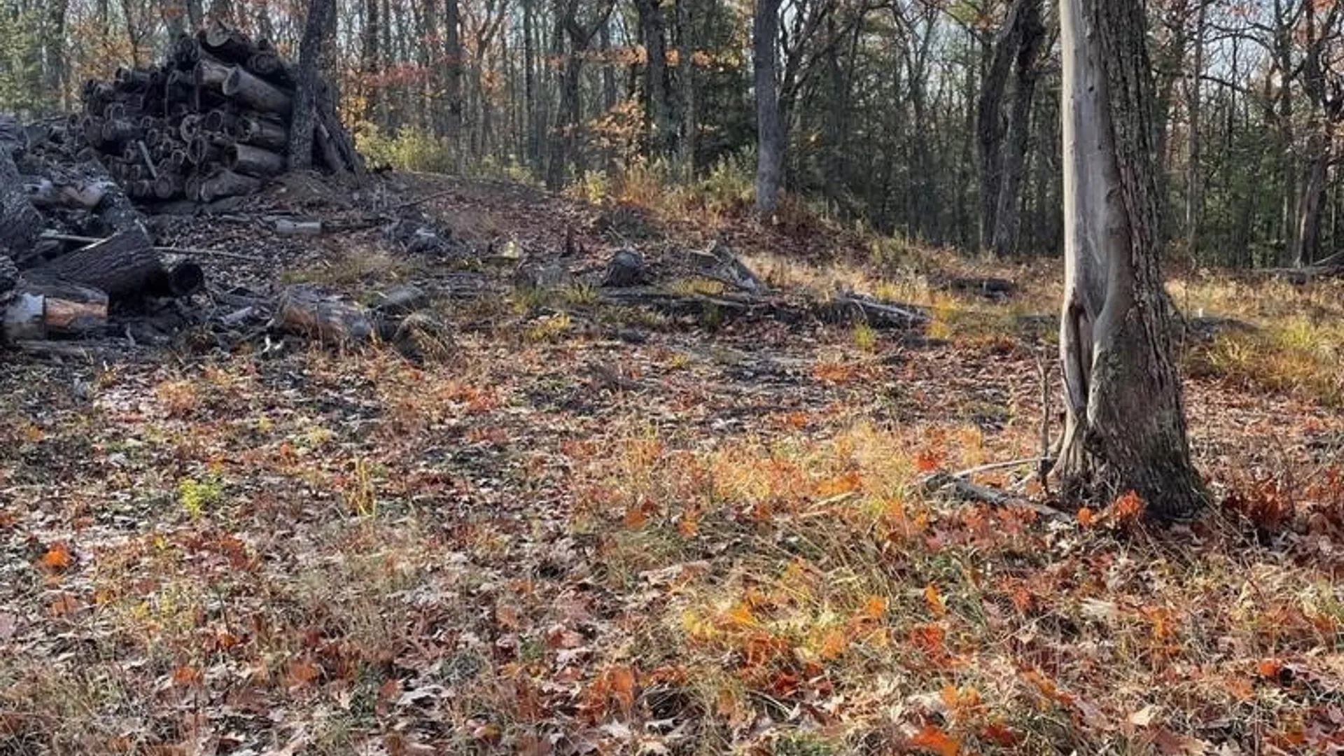 Property at L26 & L27 Ecker Hollow Road, Cobleskill, NY 12157 20