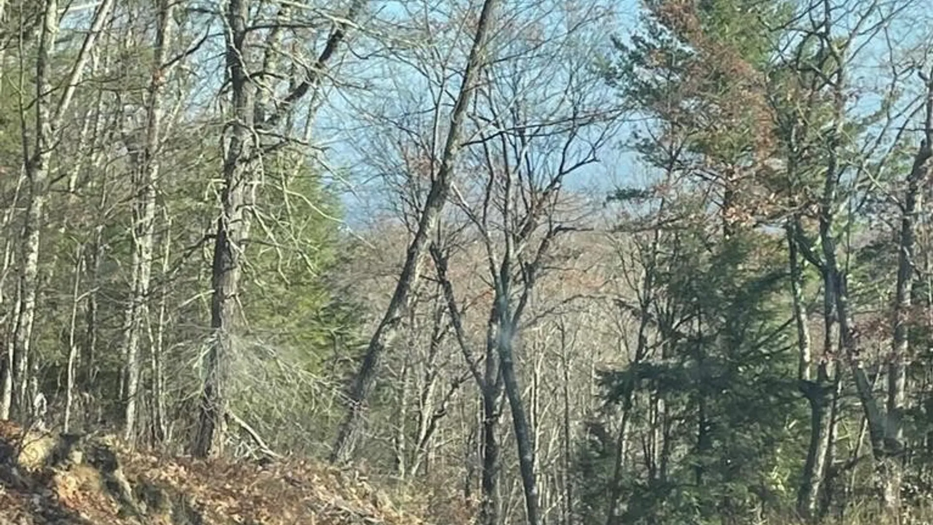 Property at L26 & L27 Ecker Hollow Road, Cobleskill, NY 12157 21
