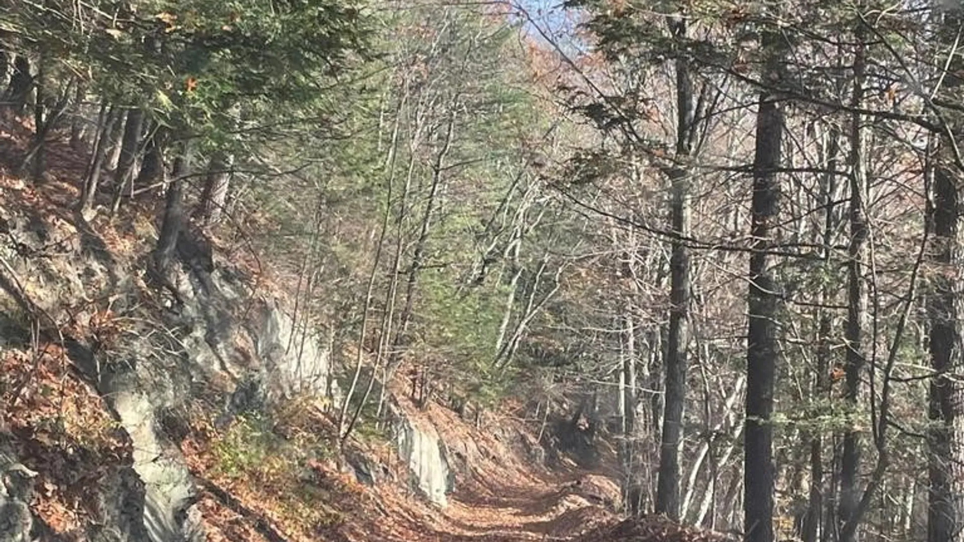Property at L26 & L27 Ecker Hollow Road, Cobleskill, NY 12157 22