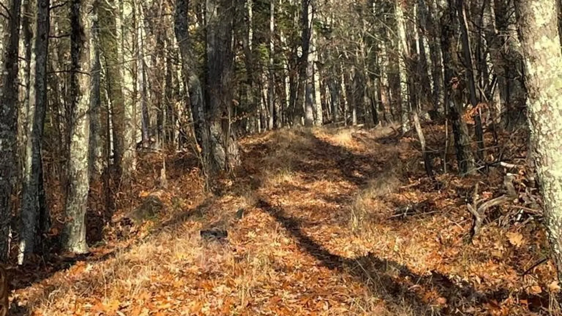 Property at L26 & L27 Ecker Hollow Road, Cobleskill, NY 12157 25