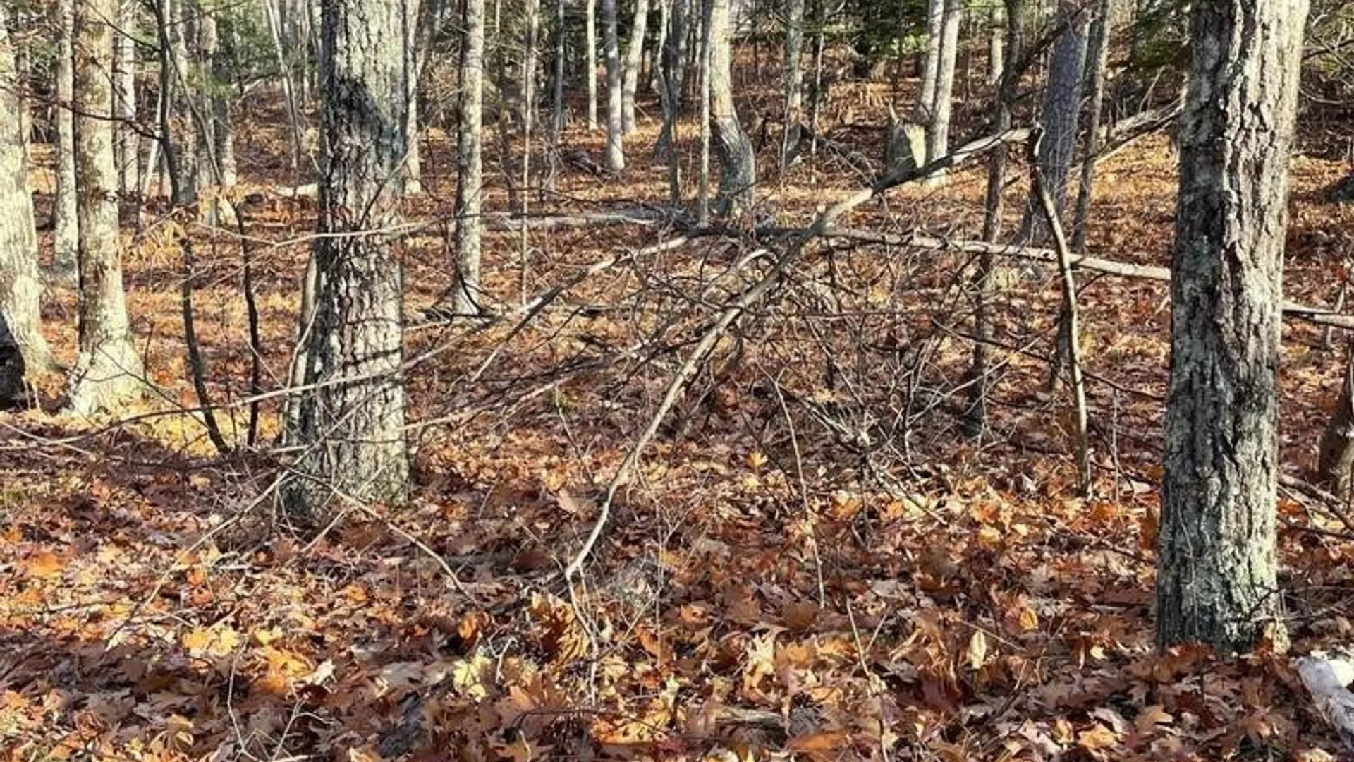 Property at L26 & L27 Ecker Hollow Road, Cobleskill, NY 12157 26